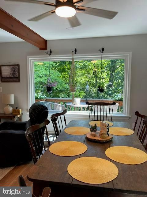 61 MOUNT MARSHALL RD, WASHINGTON, Virginia, 3 Bedrooms Bedrooms, ,2 BathroomsBathrooms,Residential,61 MOUNT MARSHALL RD,VARP2002182 MLS # VARP2002182