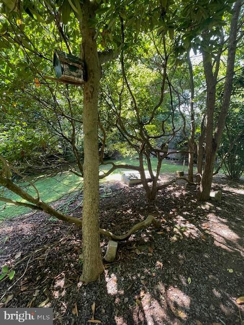 61 MOUNT MARSHALL RD, WASHINGTON, Virginia, 3 Bedrooms Bedrooms, ,2 BathroomsBathrooms,Residential,61 MOUNT MARSHALL RD,VARP2002182 MLS # VARP2002182