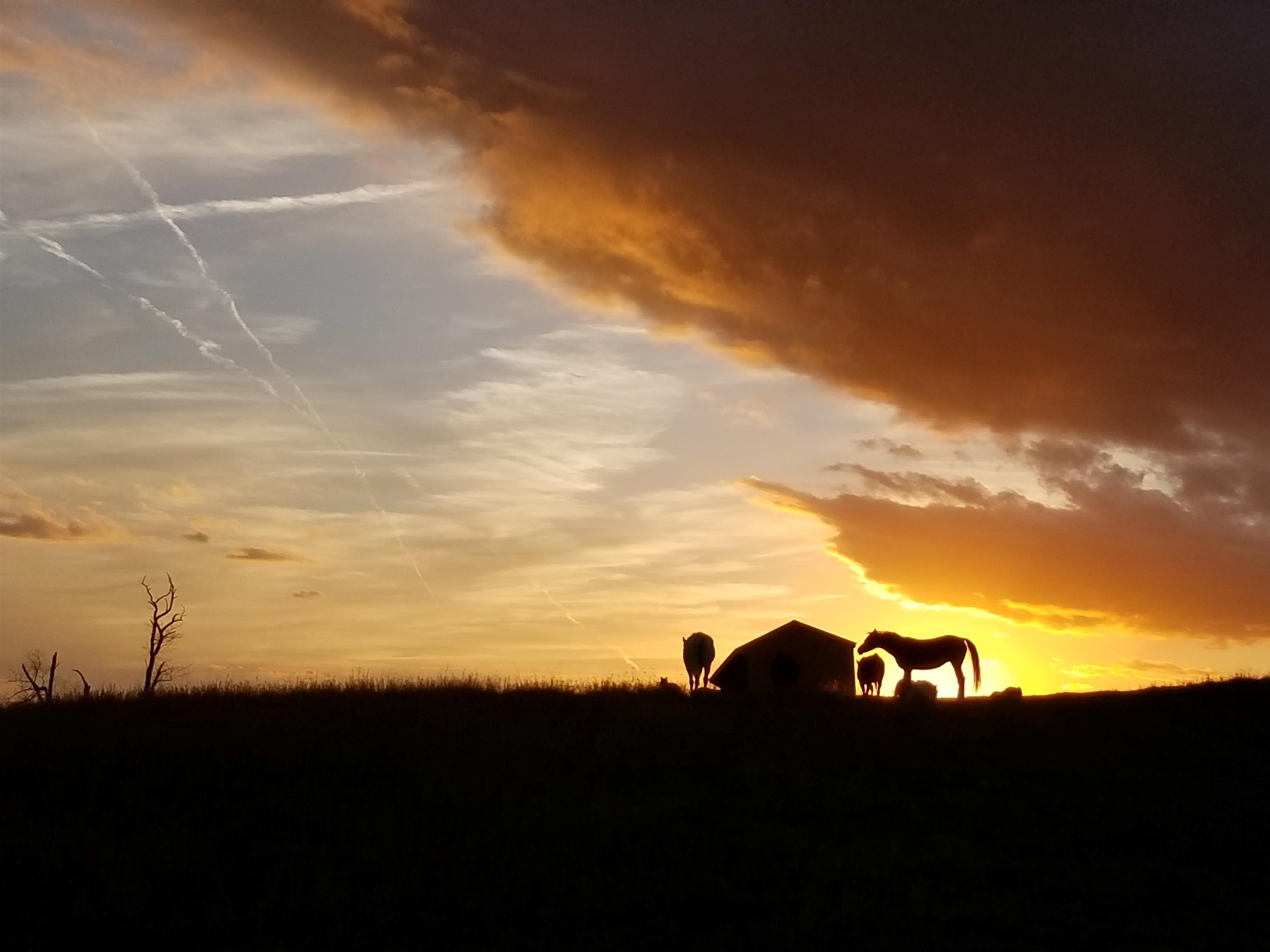 Sunset At VCL Flying Horse Farm