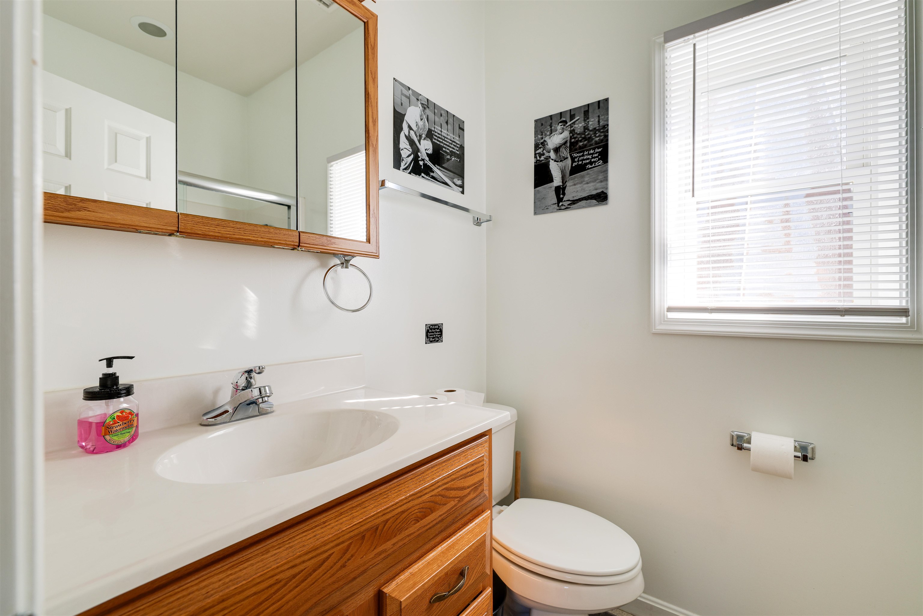 107 VIRGINIA AVE, SHENANDOAH, Virginia 22849, 2 Bedrooms Bedrooms, ,2 BathroomsBathrooms,Residential,107 VIRGINIA AVE,666721 MLS # 666721