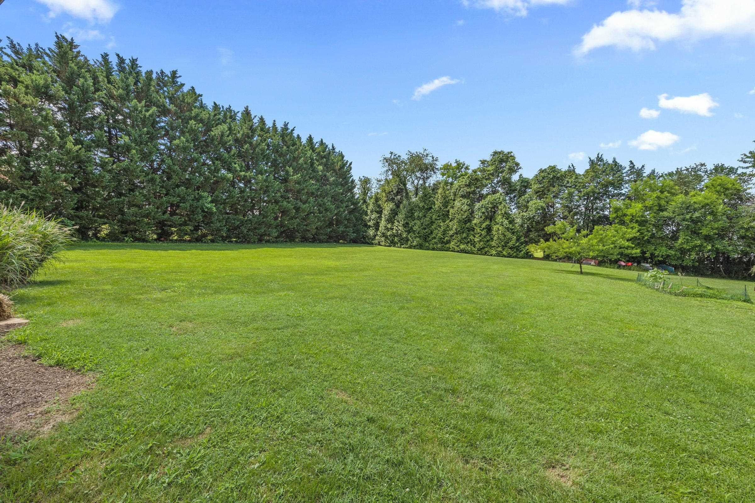 336 HOLLINGSWORTH RD, WOODSTOCK, Virginia 22664, 4 Bedrooms Bedrooms, ,2 BathroomsBathrooms,Residential,336 HOLLINGSWORTH RD,666765 MLS # 666765