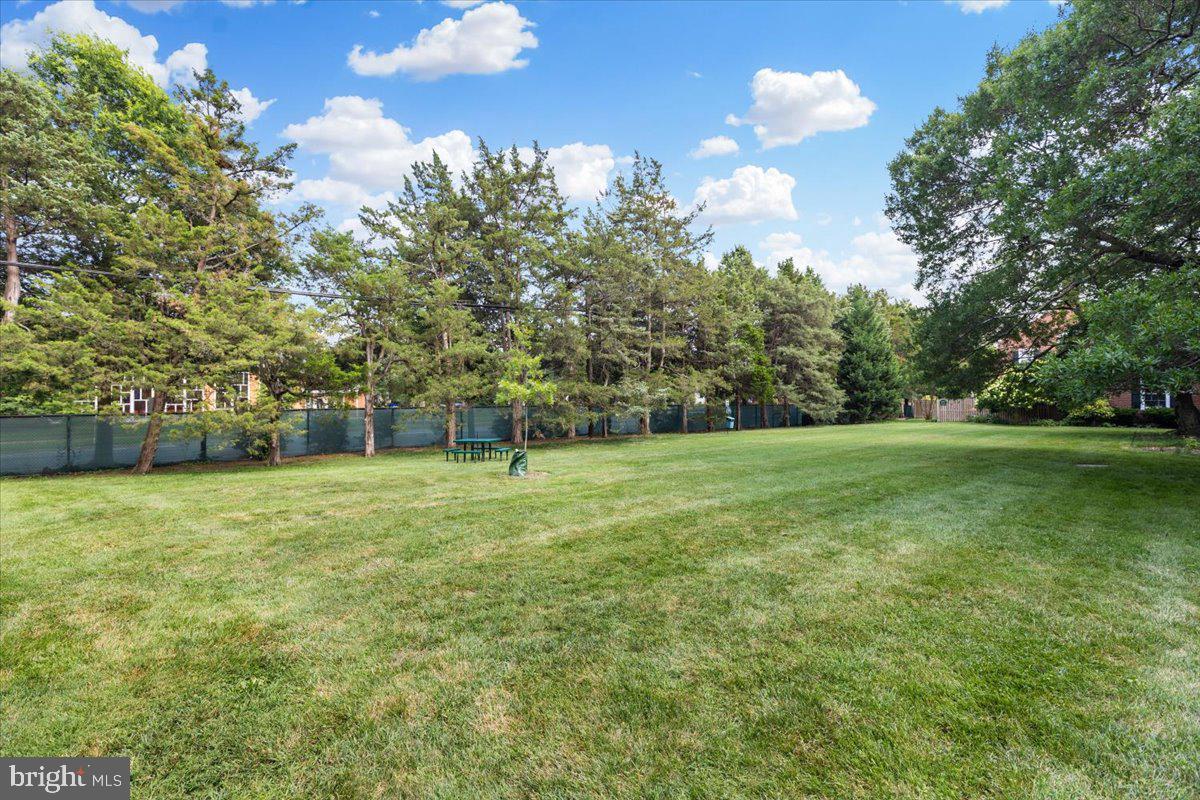 3373 S STAFFORD ST #A2, ARLINGTON, Virginia 22206, 1 Bedroom Bedrooms, ,2 BathroomsBathrooms,Residential,For sale,3373 S STAFFORD ST #A2,VAAR2058970 MLS # VAAR2058970