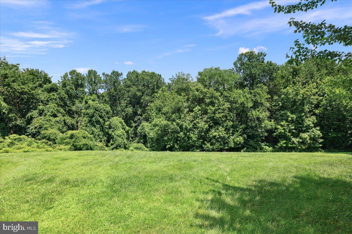 1371 NORTHWYCK CT, MCLEAN, Virginia 22102, 5 Bedrooms Bedrooms, ,5 BathroomsBathrooms,Residential,For sale,1371 NORTHWYCK CT,VAFX2248286 MLS # VAFX2248286