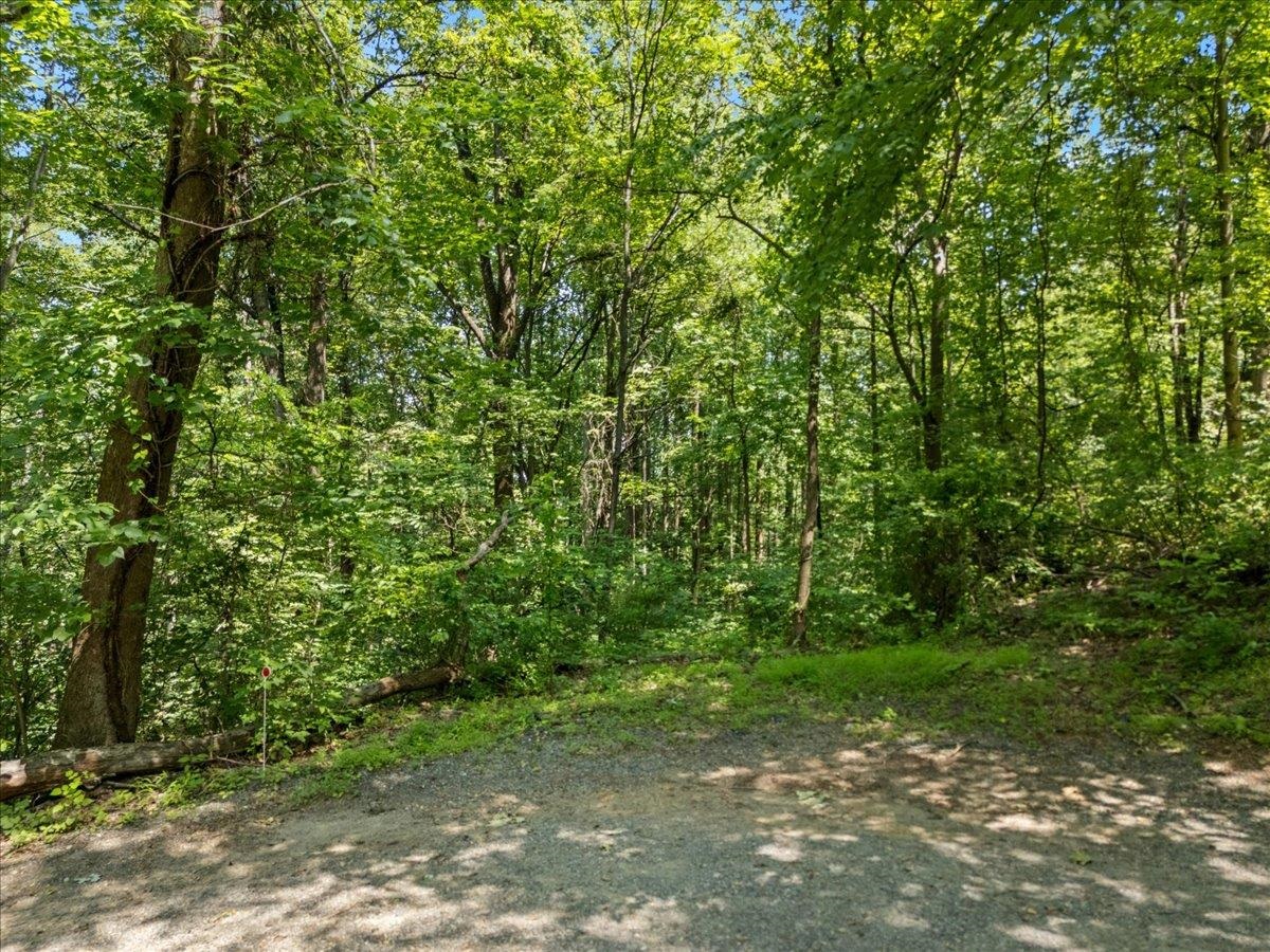 TBD MARCS PL, STANARDSVILLE, Virginia 22973, ,Land,TBD MARCS PL,666780 MLS # 666780