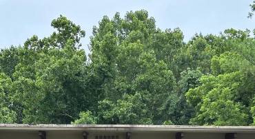 4227 AMERICANA DR, ANNANDALE, Virginia 22003, 2 Bedrooms Bedrooms, ,1 BathroomBathrooms,Residential,For sale,4227 AMERICANA DR,VAFX2250066 MLS # VAFX2250066