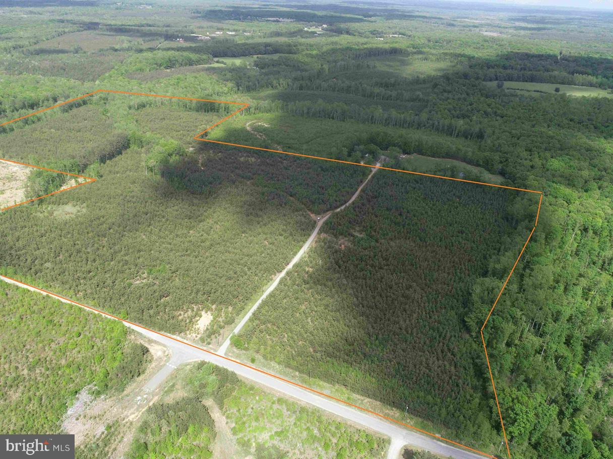 COMMERCE ROAD (RT 728) (TRACT: 5977 BALDWIN-CARTER, CUMBERLAND, Virginia 23040, ,Farm,For sale,COMMERCE ROAD (RT 728) (TRACT: 5977 BALDWIN-CARTER,VACB2000062 MLS # VACB2000062