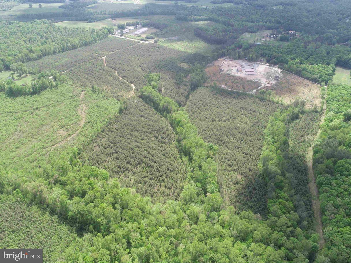COMMERCE ROAD (RT 728) (TRACT: 5977 BALDWIN-CARTER, CUMBERLAND, Virginia 23040, ,Farm,For sale,COMMERCE ROAD (RT 728) (TRACT: 5977 BALDWIN-CARTER,VACB2000062 MLS # VACB2000062