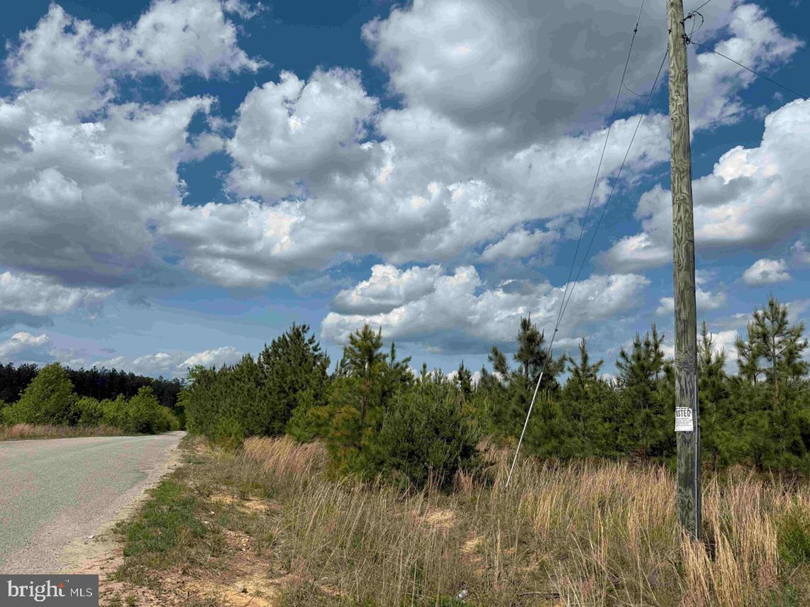 COMMERCE ROAD (RT 728) (TRACT: 5977 BALDWIN-CARTER, CUMBERLAND, Virginia 23040, ,Farm,For sale,COMMERCE ROAD (RT 728) (TRACT: 5977 BALDWIN-CARTER,VACB2000062 MLS # VACB2000062