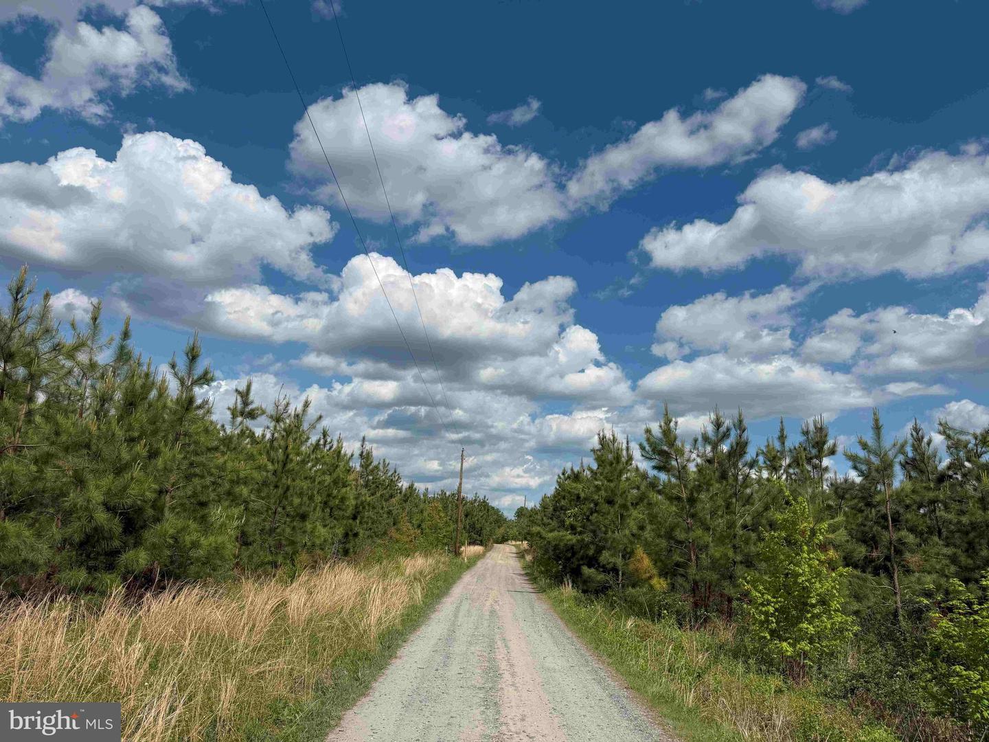 COMMERCE ROAD (RT 728) (TRACT: 5977 BALDWIN-CARTER, CUMBERLAND, Virginia 23040, ,Farm,For sale,COMMERCE ROAD (RT 728) (TRACT: 5977 BALDWIN-CARTER,VACB2000062 MLS # VACB2000062