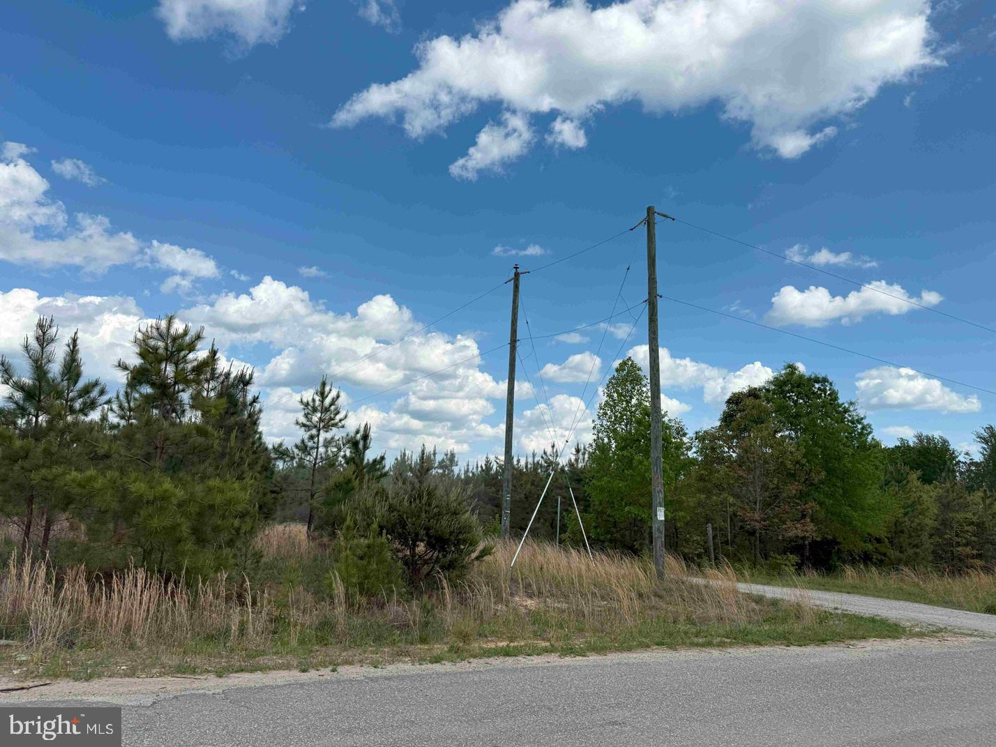 COMMERCE ROAD (RT 728) (TRACT: 5977 BALDWIN-CARTER, CUMBERLAND, Virginia 23040, ,Farm,For sale,COMMERCE ROAD (RT 728) (TRACT: 5977 BALDWIN-CARTER,VACB2000062 MLS # VACB2000062