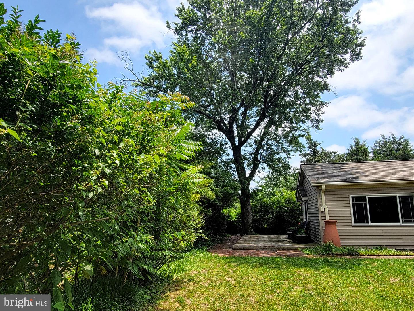 6308 HAWAII CT, ALEXANDRIA, Virginia 22312, 3 Bedrooms Bedrooms, ,1 BathroomBathrooms,Residential,For sale,6308 HAWAII CT,VAFX2252346 MLS # VAFX2252346