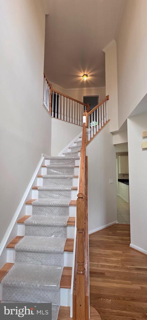 47330 VISTA CT, POTOMAC FALLS, Virginia 20165, 5 Bedrooms Bedrooms, ,3 BathroomsBathrooms,Residential,For sale,47330 VISTA CT,VALO2101592 MLS # VALO2101592