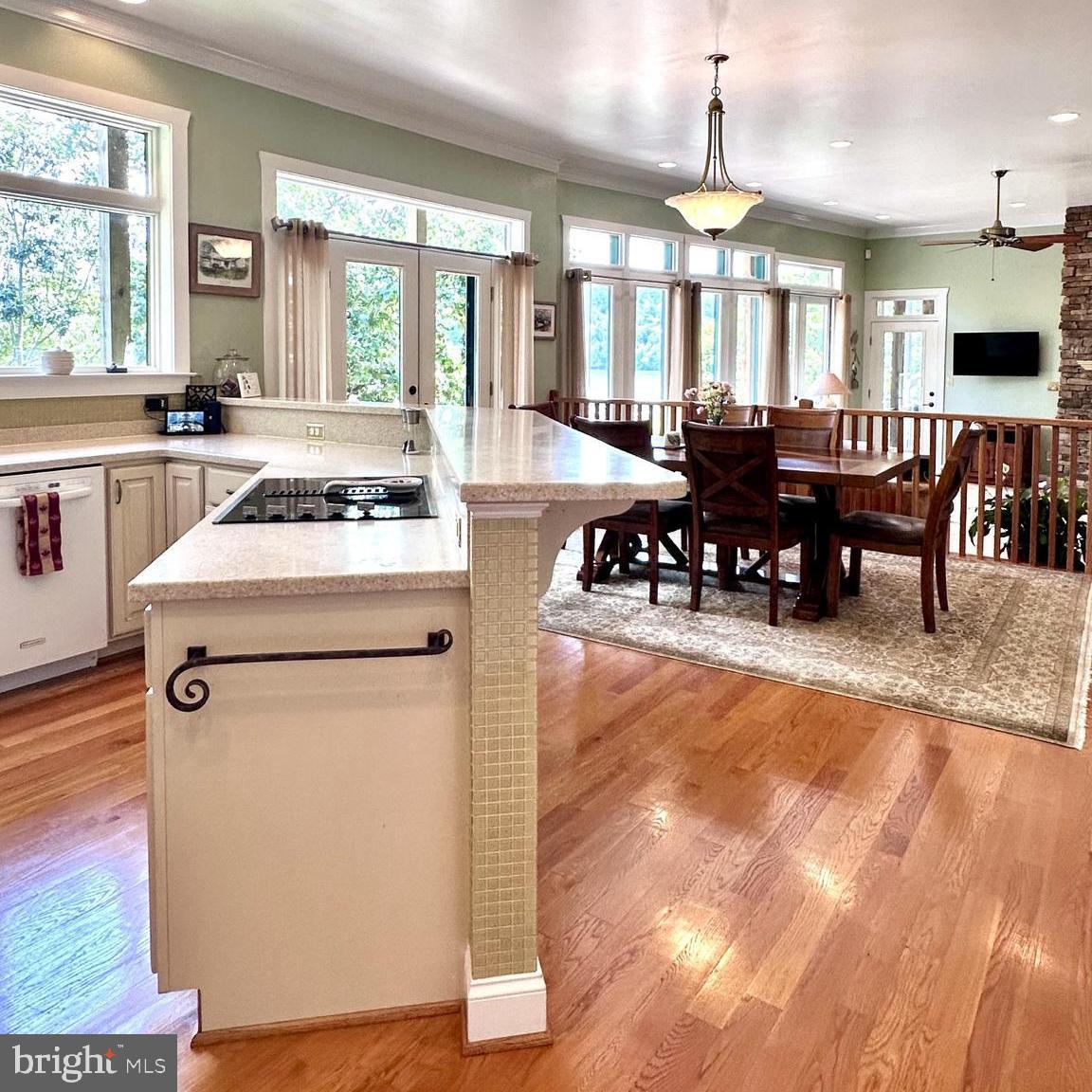 368 PENNINSULA POINT, LYNCH STATION, Virginia 24571, 4 Bedrooms Bedrooms, ,3 BathroomsBathrooms,Residential,For sale,368 PENNINSULA POINT,VACP2000092 MLS # VACP2000092