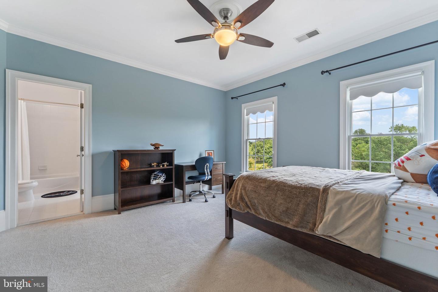 15999 HAMPTON RD, HAMILTON, Virginia 20158, 5 Bedrooms Bedrooms, ,6 BathroomsBathrooms,Residential,For sale,15999 HAMPTON RD,VALO2101718 MLS # VALO2101718