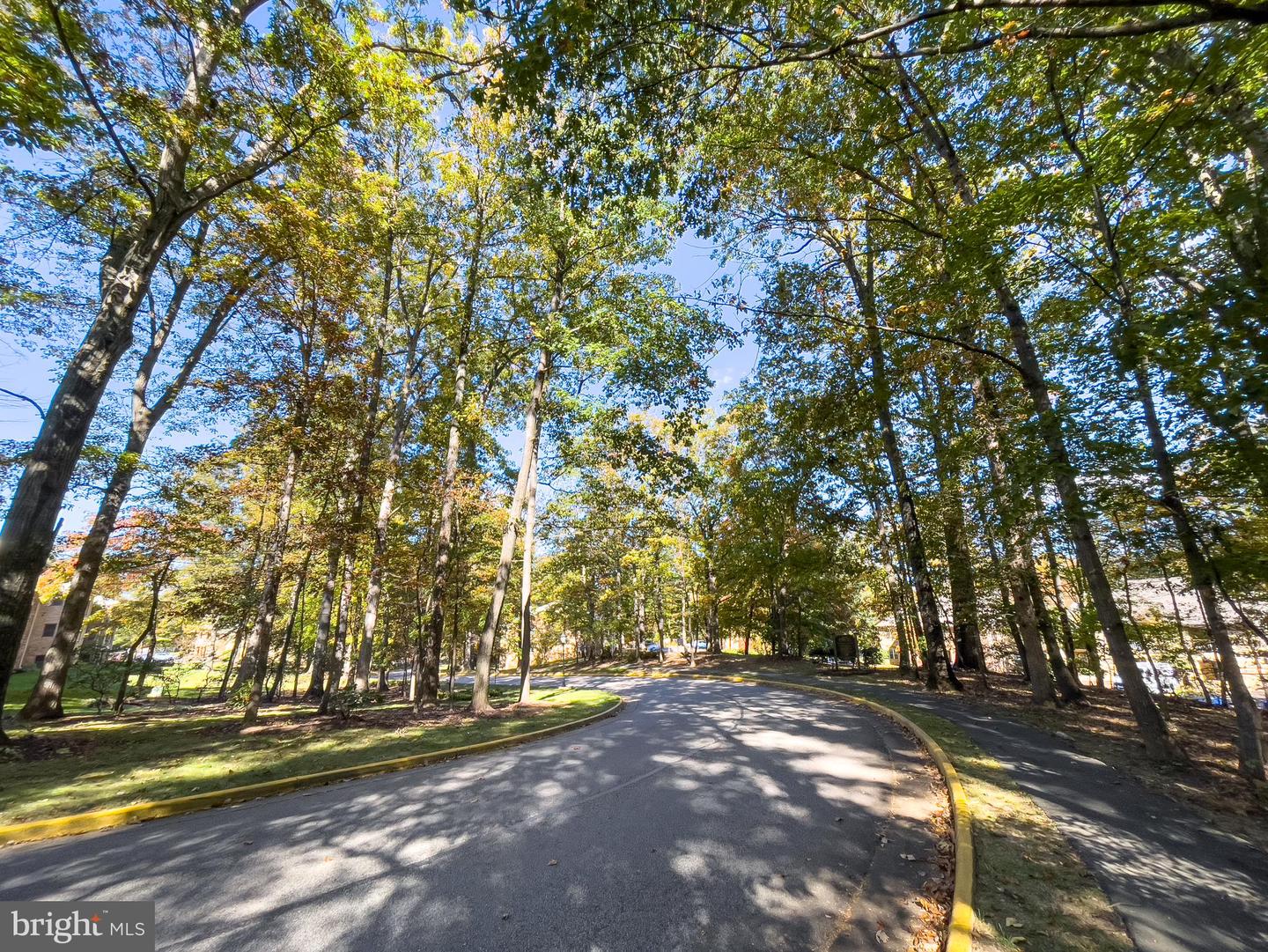 5835 COVE LANDING RD #204, BURKE, Virginia 22015, 1 Bedroom Bedrooms, ,1 BathroomBathrooms,Residential,For sale,5835 COVE LANDING RD #204,VAFX2254920 MLS # VAFX2254920