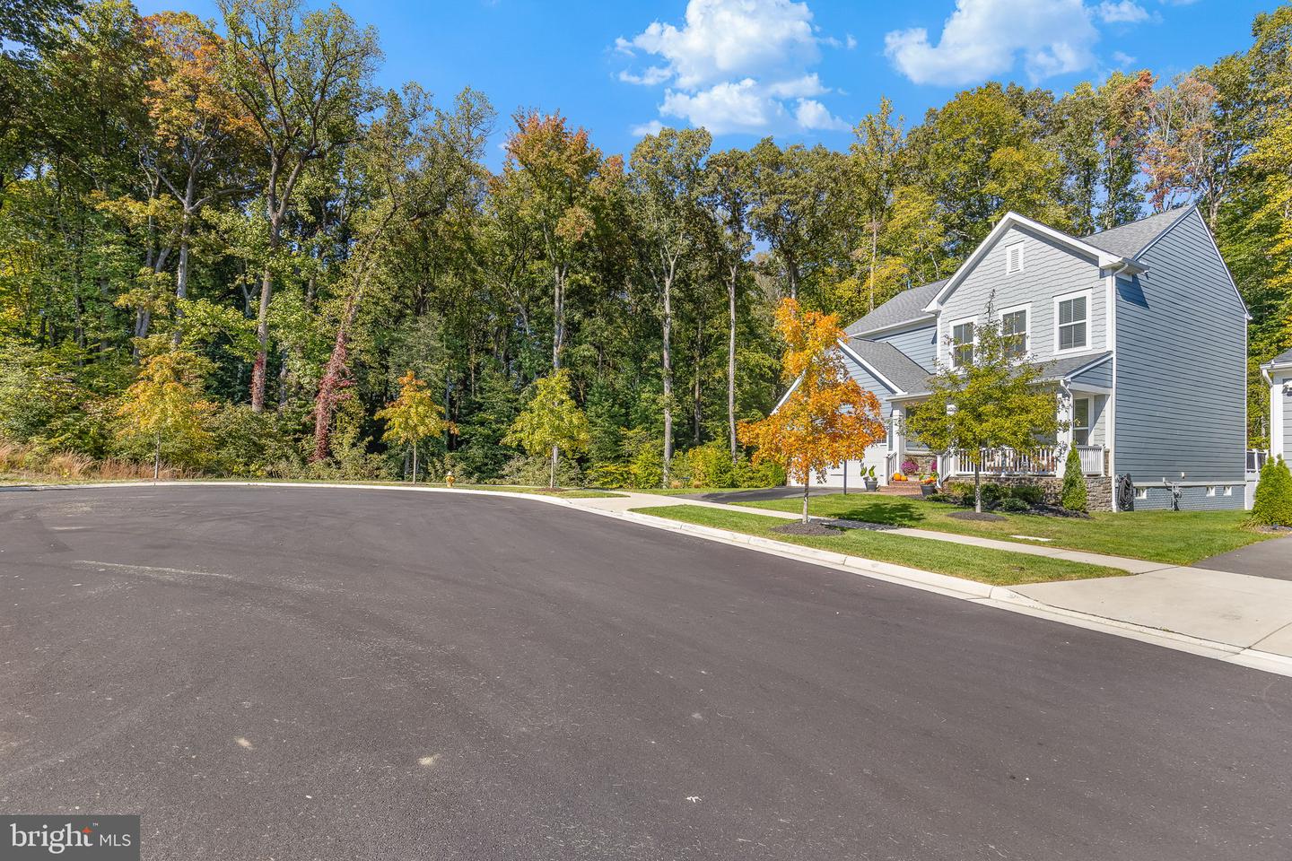 17703 WHITE CAMPION WAY, DUMFRIES, Virginia 22026, 4 Bedrooms Bedrooms, ,4 BathroomsBathrooms,Residential,For sale,17703 WHITE CAMPION WAY,VAPW2098992 MLS # VAPW2098992