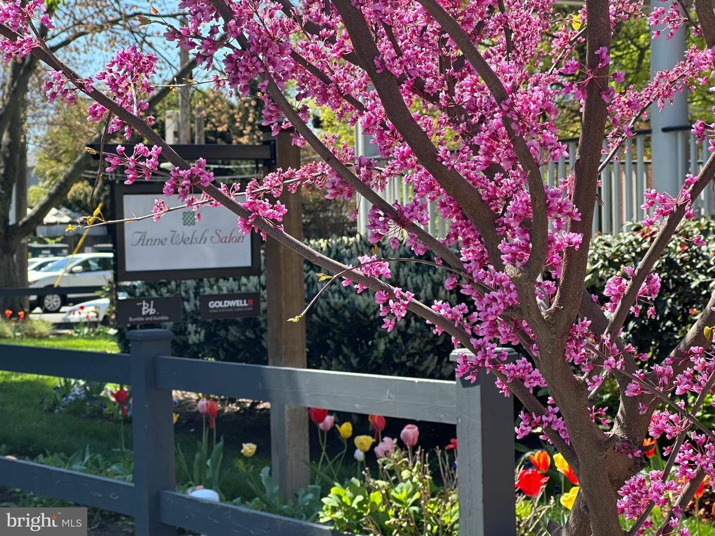 19-A W UHLER AVE, ALEXANDRIA, Virginia 22301, 3 Bedrooms Bedrooms, ,2 BathroomsBathrooms,Residential,For sale,19-A W UHLER AVE,VAAX2047392 MLS # VAAX2047392