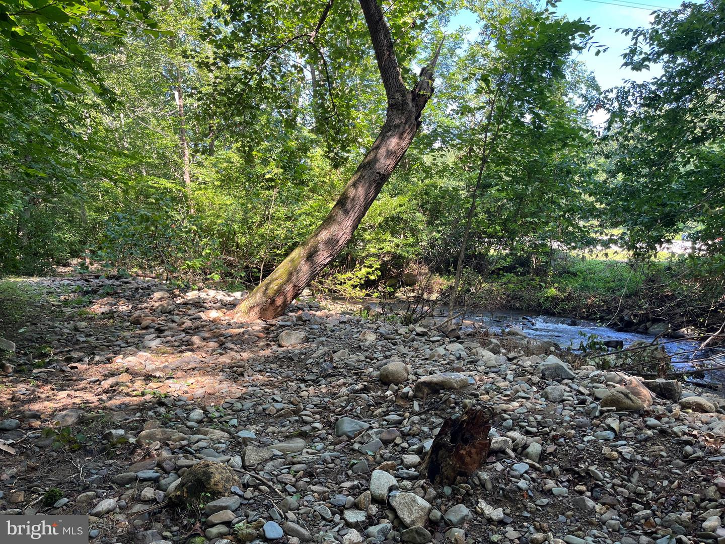 535 OLD HOLLOW RD, SPERRYVILLE, Virginia 22740, 1 Bedroom Bedrooms, ,1 BathroomBathrooms,Residential,For sale,535 OLD HOLLOW RD,VARP2002180 MLS # VARP2002180