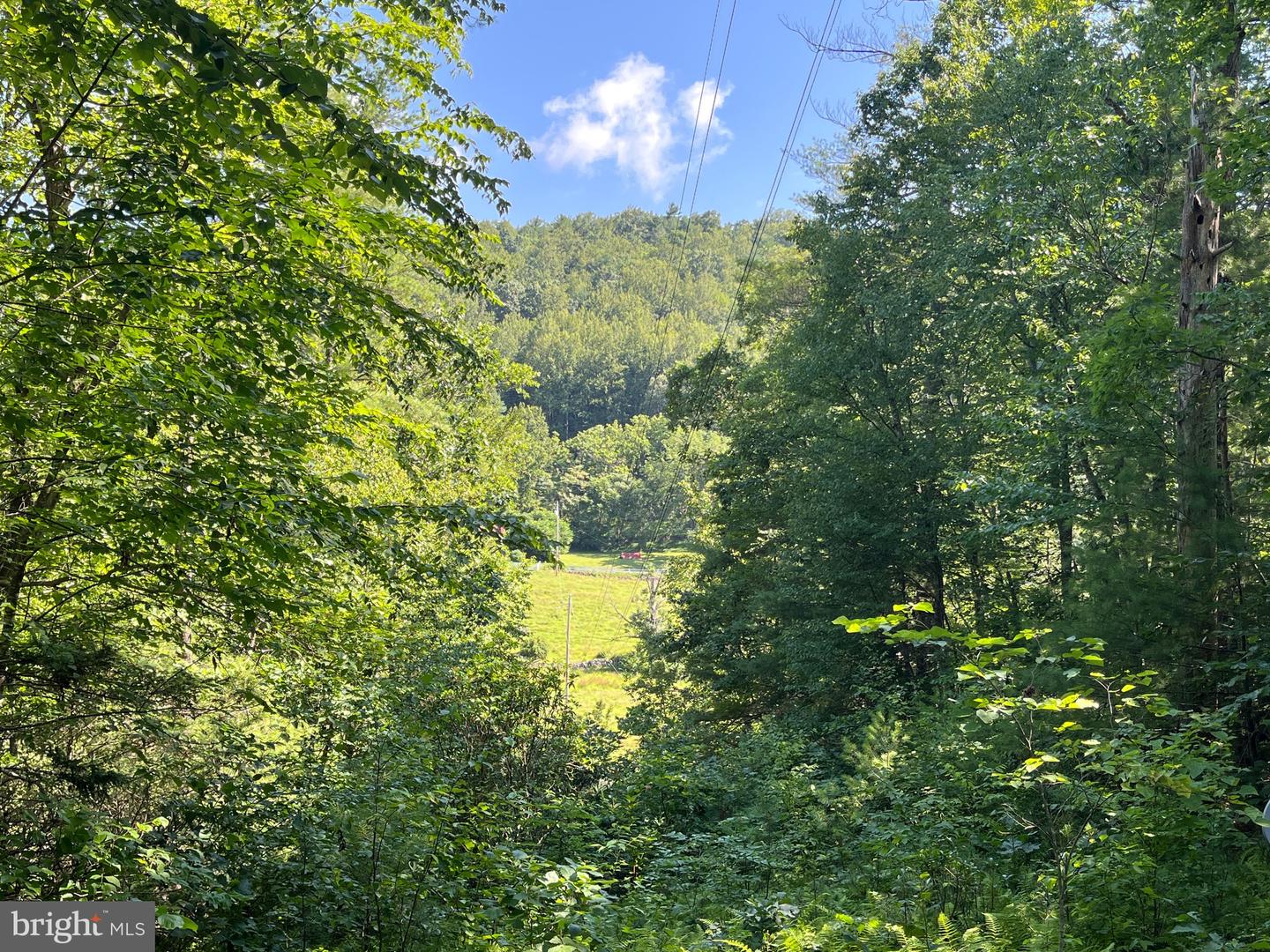 535 OLD HOLLOW RD, SPERRYVILLE, Virginia 22740, 1 Bedroom Bedrooms, ,1 BathroomBathrooms,Residential,For sale,535 OLD HOLLOW RD,VARP2002180 MLS # VARP2002180