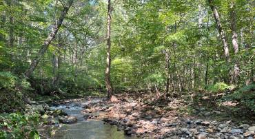 535 OLD HOLLOW RD, SPERRYVILLE, Virginia 22740, 1 Bedroom Bedrooms, ,1 BathroomBathrooms,Residential,For sale,535 OLD HOLLOW RD,VARP2002180 MLS # VARP2002180
