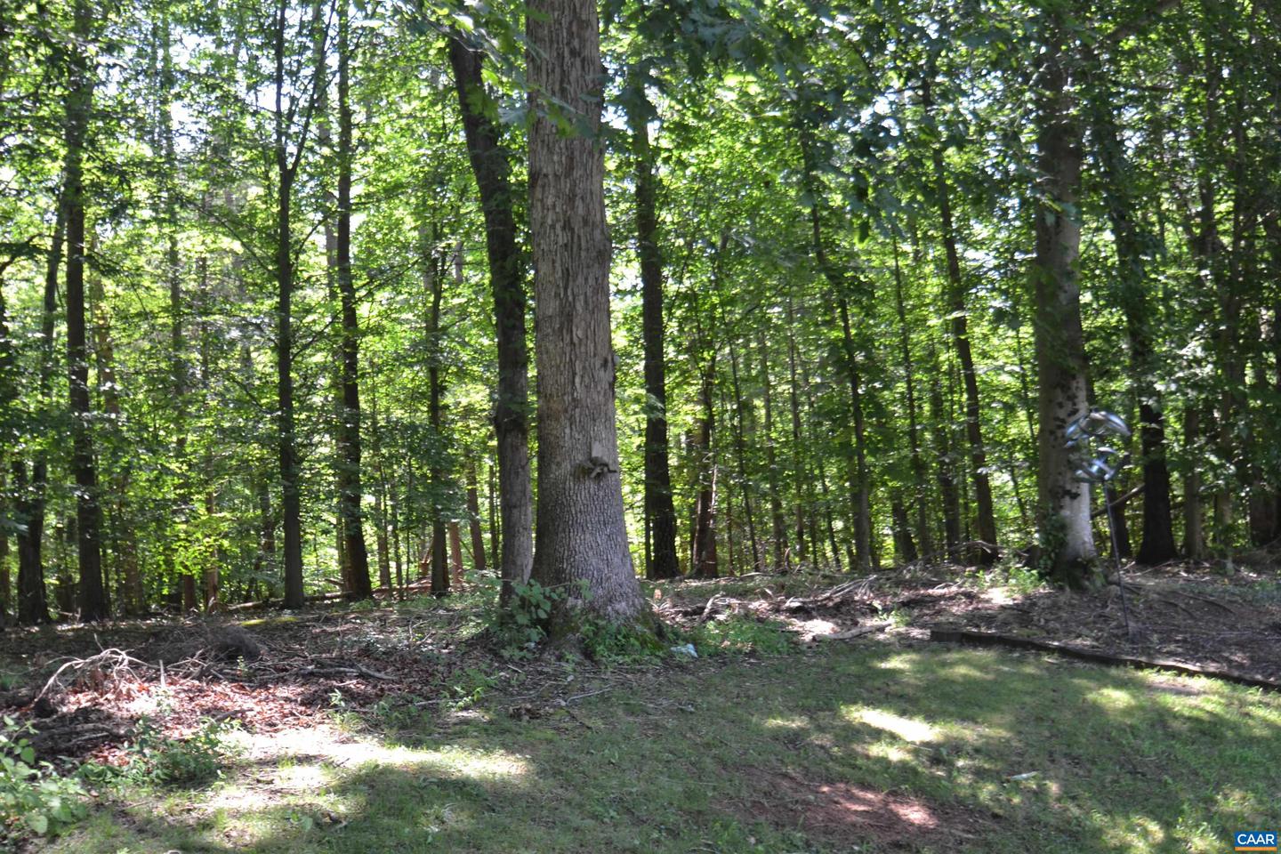 2090 TAVERNOR LN, CHARLOTTESVILLE, Virginia 22911, 3 Bedrooms Bedrooms, ,2 BathroomsBathrooms,Residential,For sale,2090 TAVERNOR LN,666588 MLS # 666588