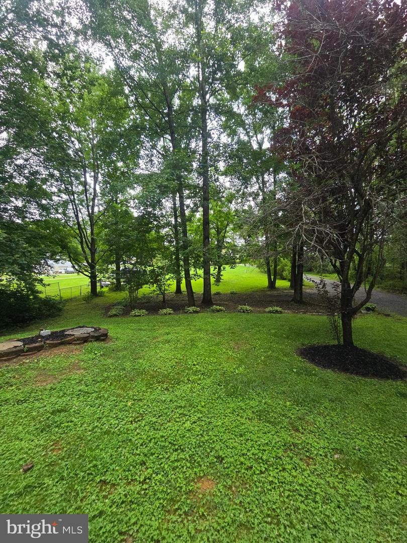 3605 BURTON RD, BUMPASS, Virginia 23024, 3 Bedrooms Bedrooms, ,2 BathroomsBathrooms,Residential,For sale,3605 BURTON RD,VASP2034666 MLS # VASP2034666