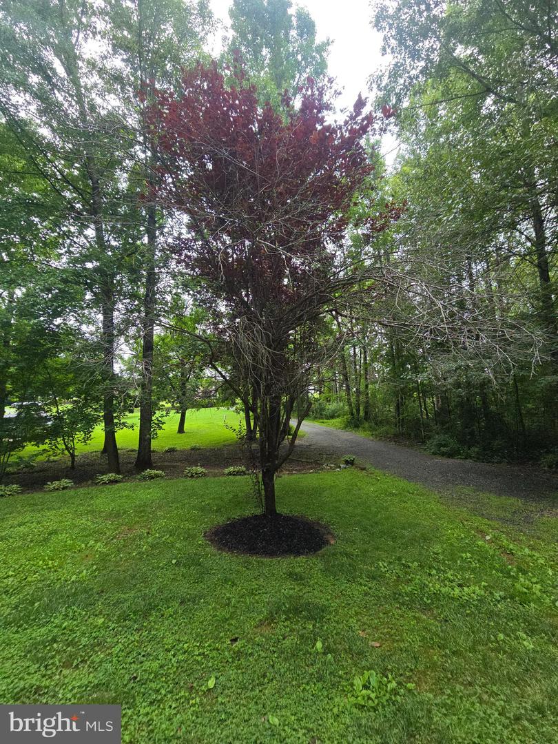 3605 BURTON RD, BUMPASS, Virginia 23024, 3 Bedrooms Bedrooms, ,2 BathroomsBathrooms,Residential,For sale,3605 BURTON RD,VASP2034666 MLS # VASP2034666