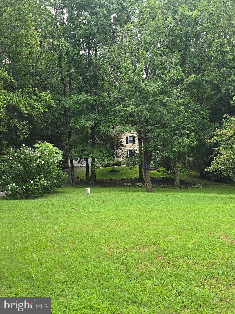 3605 BURTON RD, BUMPASS, Virginia 23024, 3 Bedrooms Bedrooms, ,2 BathroomsBathrooms,Residential,For sale,3605 BURTON RD,VASP2034666 MLS # VASP2034666