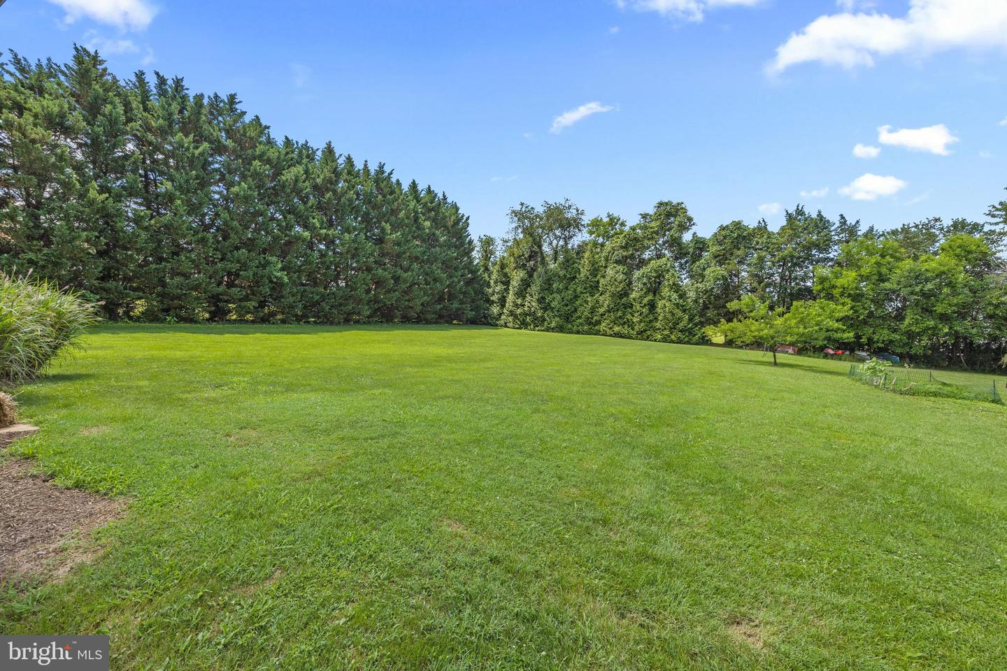 336 HOLLINGSWORTH RD, WOODSTOCK, Virginia 22664, 4 Bedrooms Bedrooms, ,2 BathroomsBathrooms,Residential,For sale,336 HOLLINGSWORTH RD,VASH2011980 MLS # VASH2011980