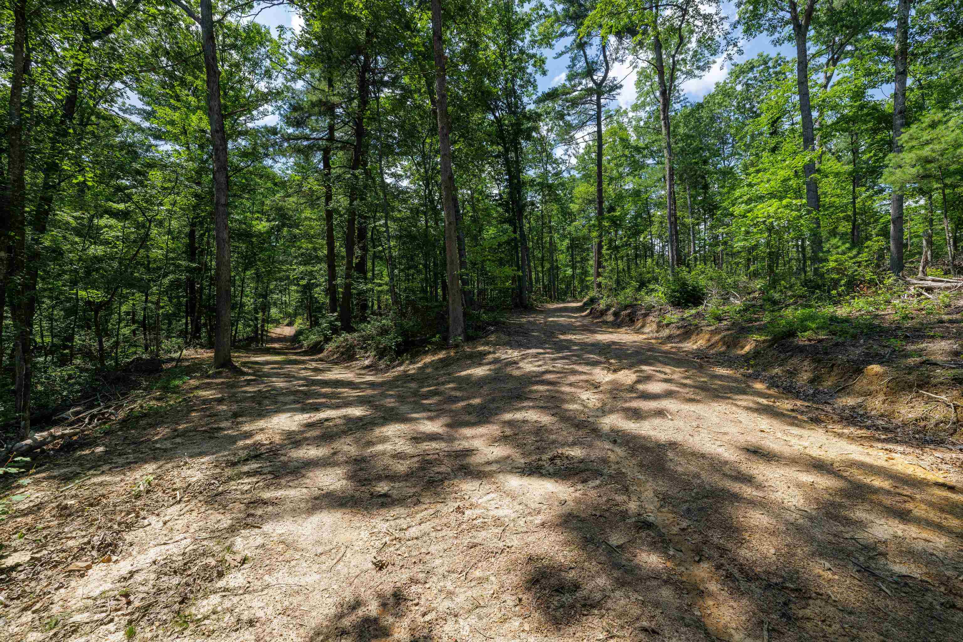 TBD STRIBLING SPRINGS RD, MOUNT SOLON, Virginia 22843, ,Land,TBD STRIBLING SPRINGS RD,666793 MLS # 666793