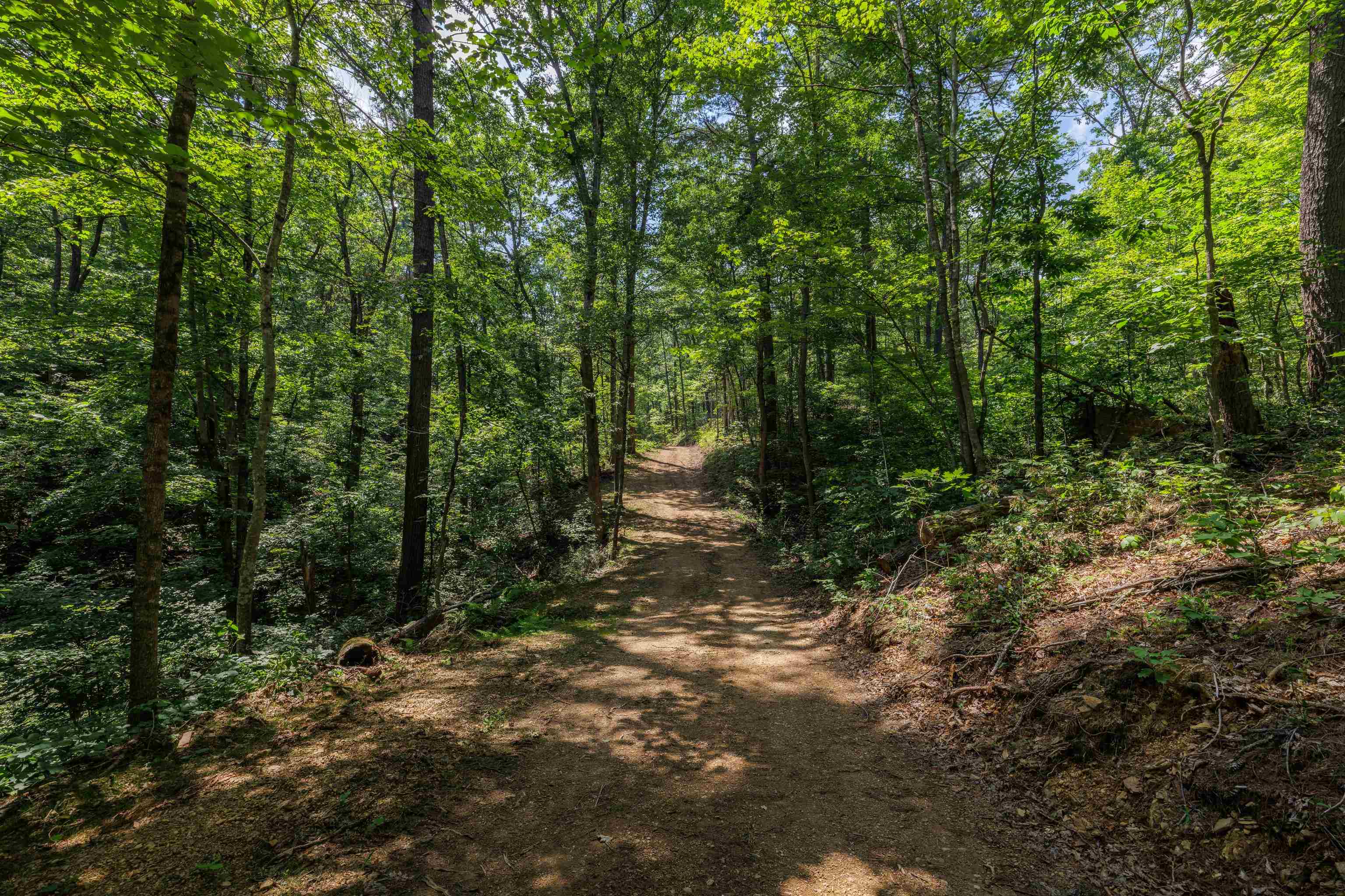 TBD STRIBLING SPRINGS RD, MOUNT SOLON, Virginia 22843, ,Land,TBD STRIBLING SPRINGS RD,666793 MLS # 666793