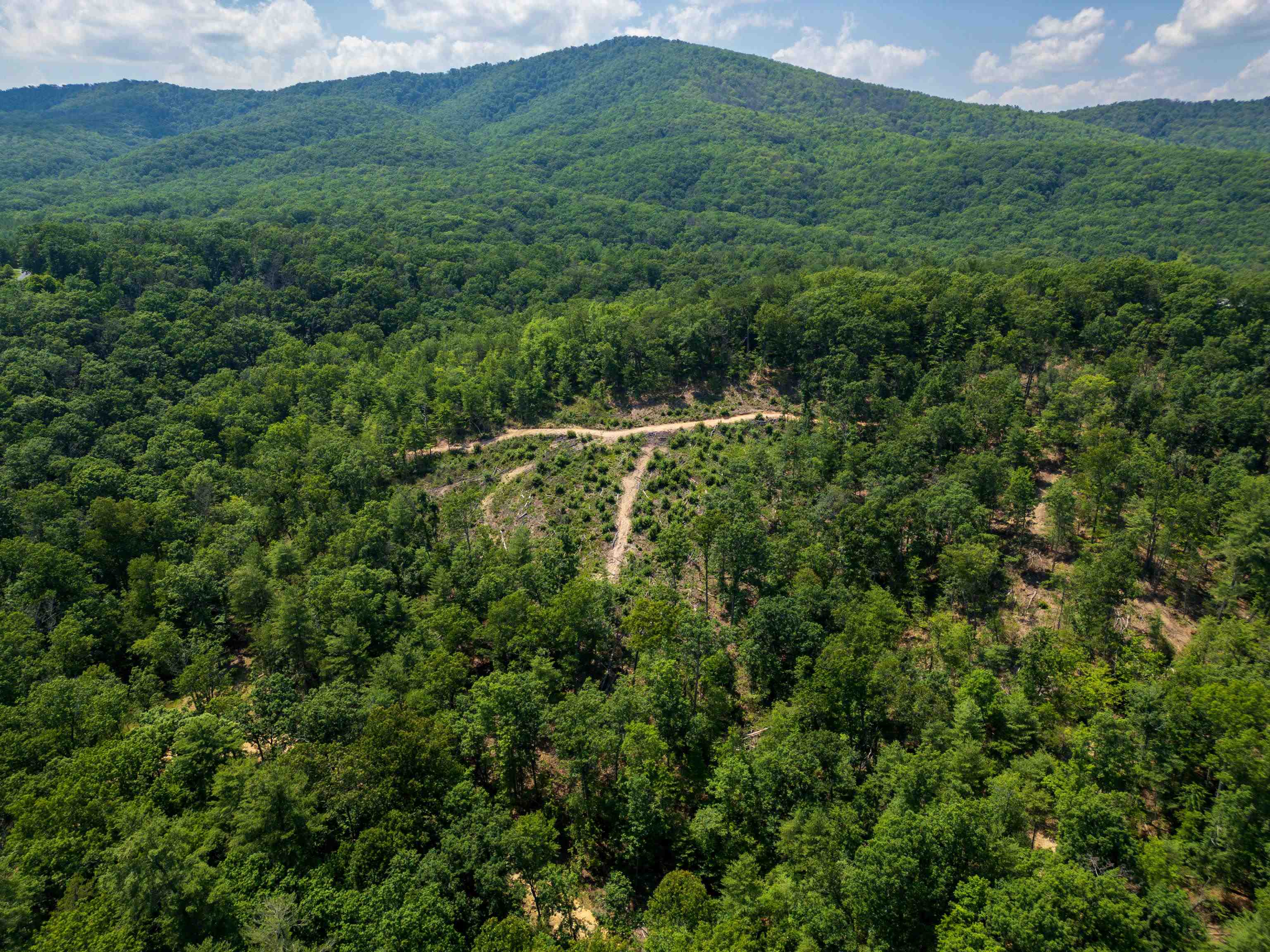 TBD STRIBLING SPRINGS RD, MOUNT SOLON, Virginia 22843, ,Land,TBD STRIBLING SPRINGS RD,666793 MLS # 666793