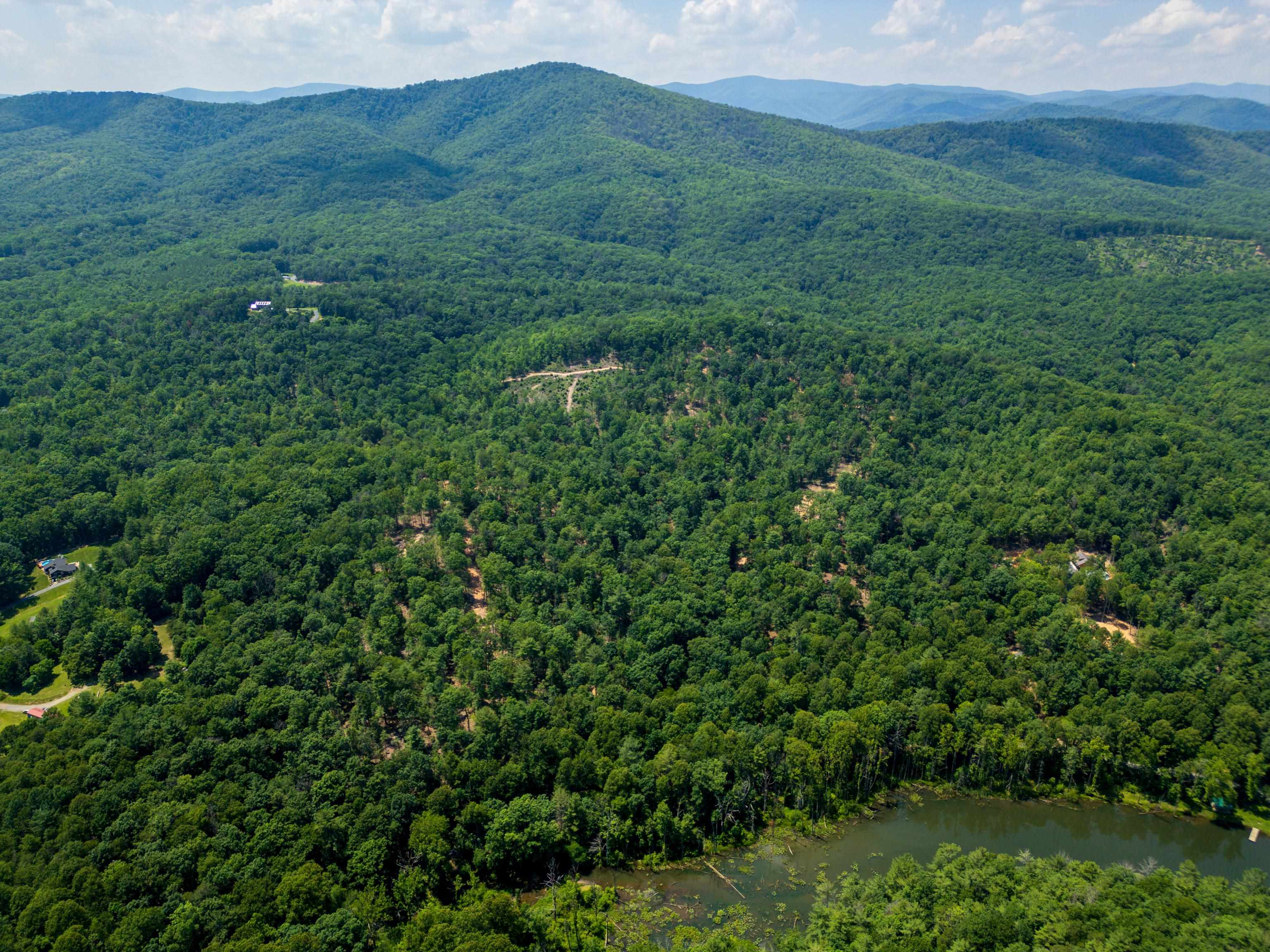 TBD STRIBLING SPRINGS RD, MOUNT SOLON, Virginia 22843, ,Land,TBD STRIBLING SPRINGS RD,666793 MLS # 666793