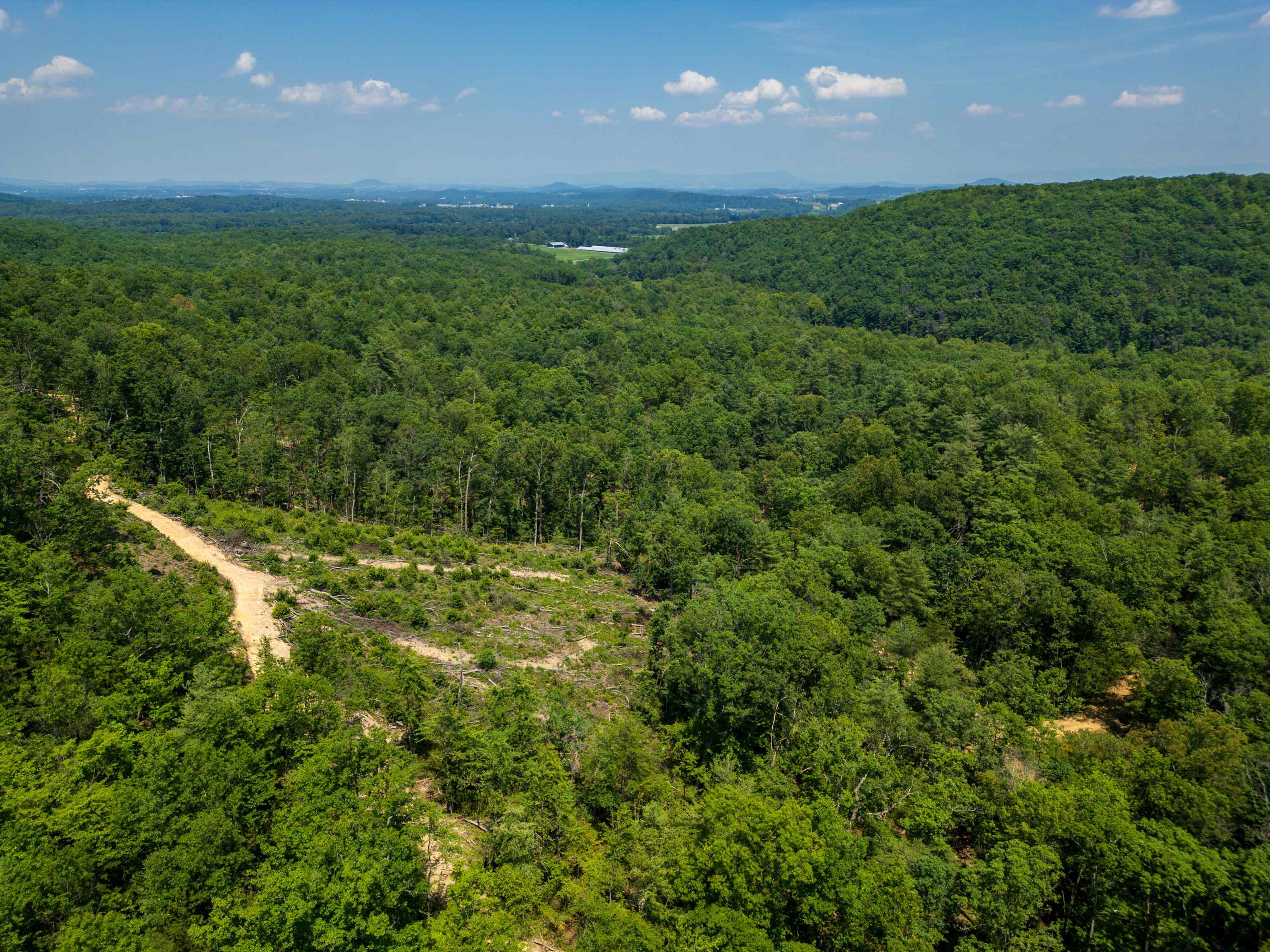 TBD STRIBLING SPRINGS RD, MOUNT SOLON, Virginia 22843, ,Land,TBD STRIBLING SPRINGS RD,666793 MLS # 666793