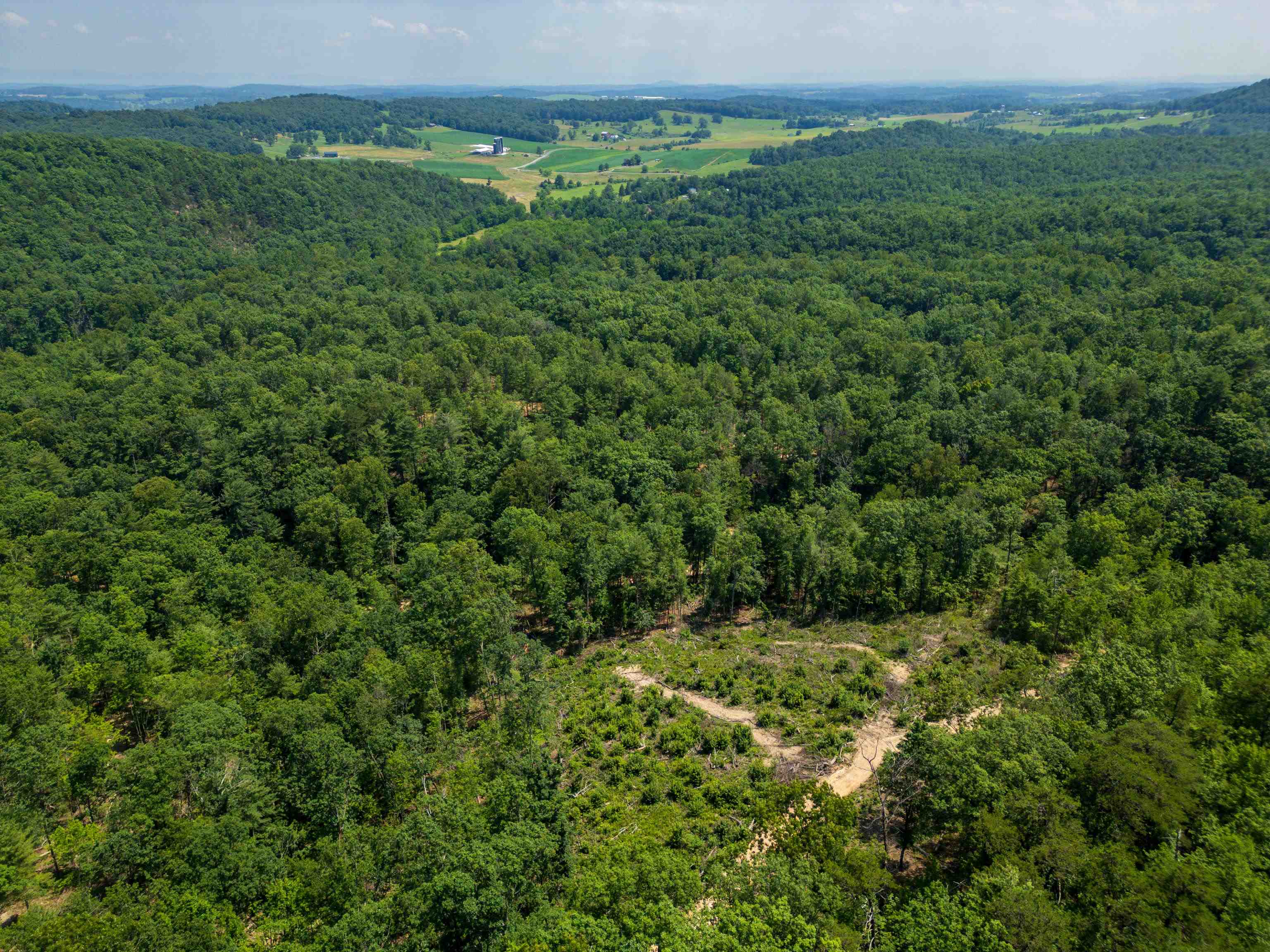 TBD STRIBLING SPRINGS RD, MOUNT SOLON, Virginia 22843, ,Land,TBD STRIBLING SPRINGS RD,666793 MLS # 666793