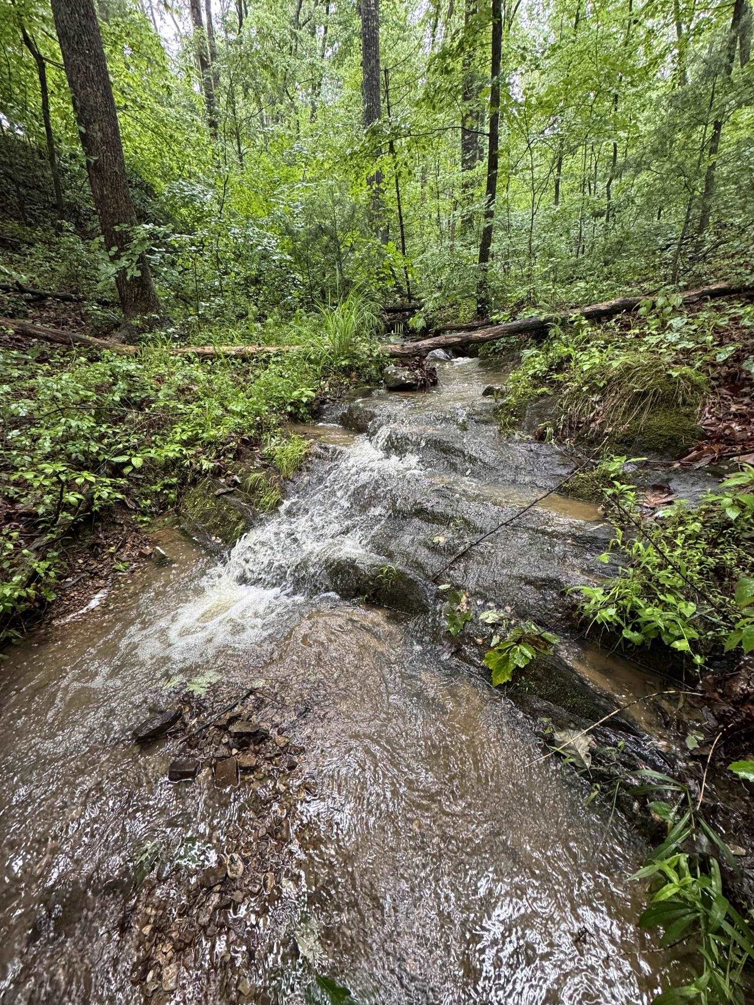 TBD STRIBLING SPRINGS RD, MOUNT SOLON, Virginia 22843, ,Land,TBD STRIBLING SPRINGS RD,666793 MLS # 666793