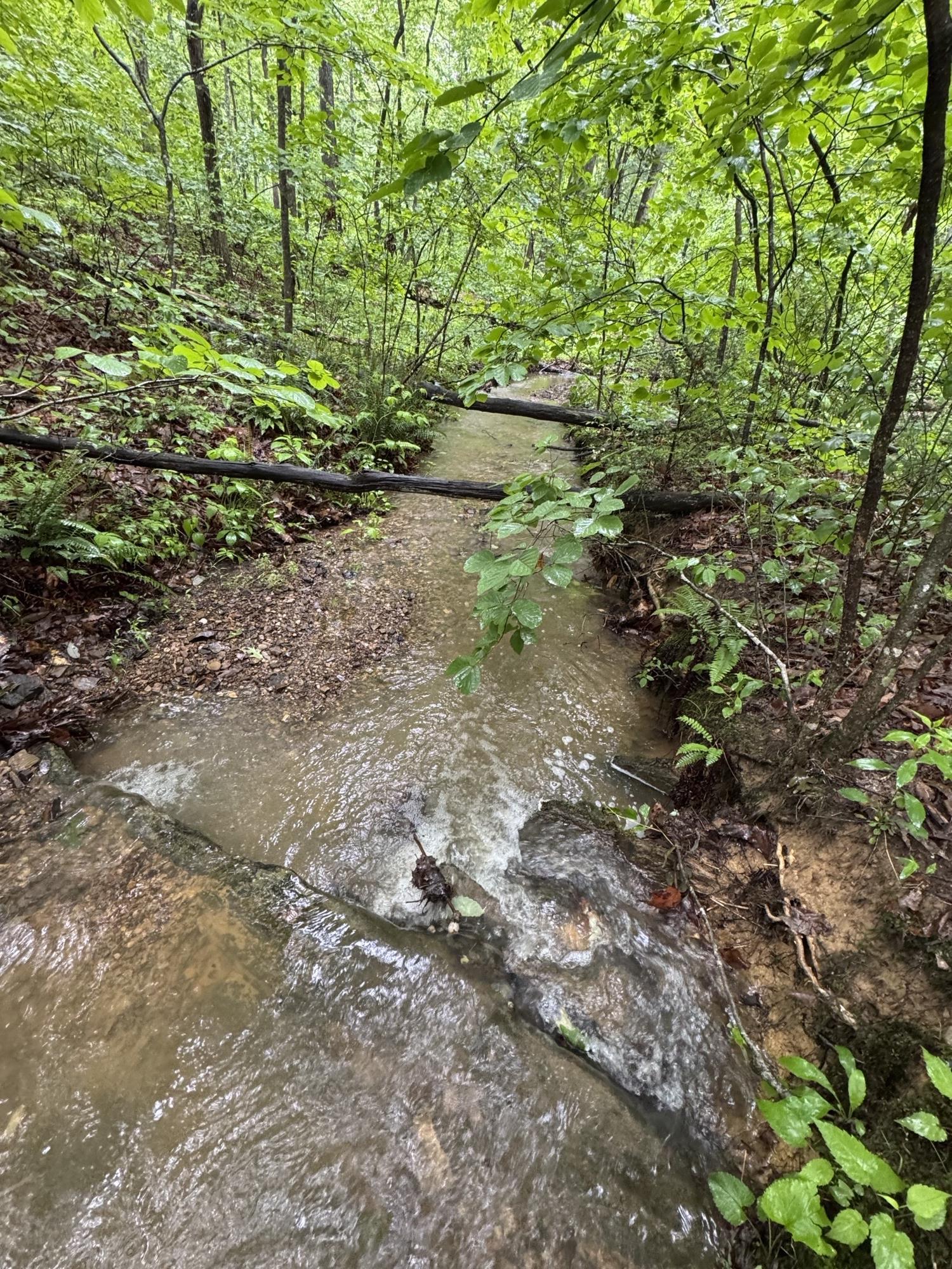 TBD STRIBLING SPRINGS RD, MOUNT SOLON, Virginia 22843, ,Land,TBD STRIBLING SPRINGS RD,666793 MLS # 666793