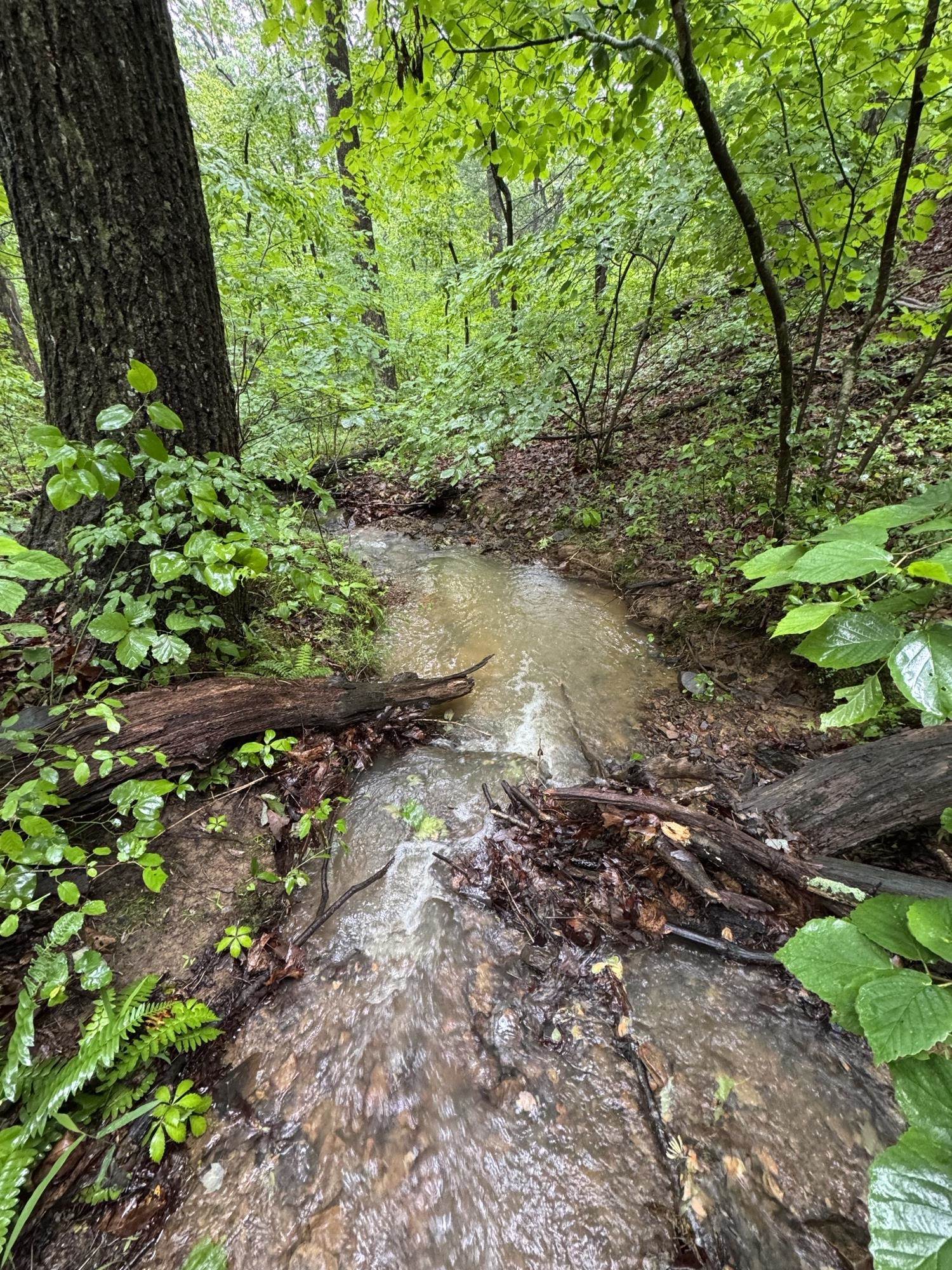 TBD STRIBLING SPRINGS RD, MOUNT SOLON, Virginia 22843, ,Land,TBD STRIBLING SPRINGS RD,666793 MLS # 666793