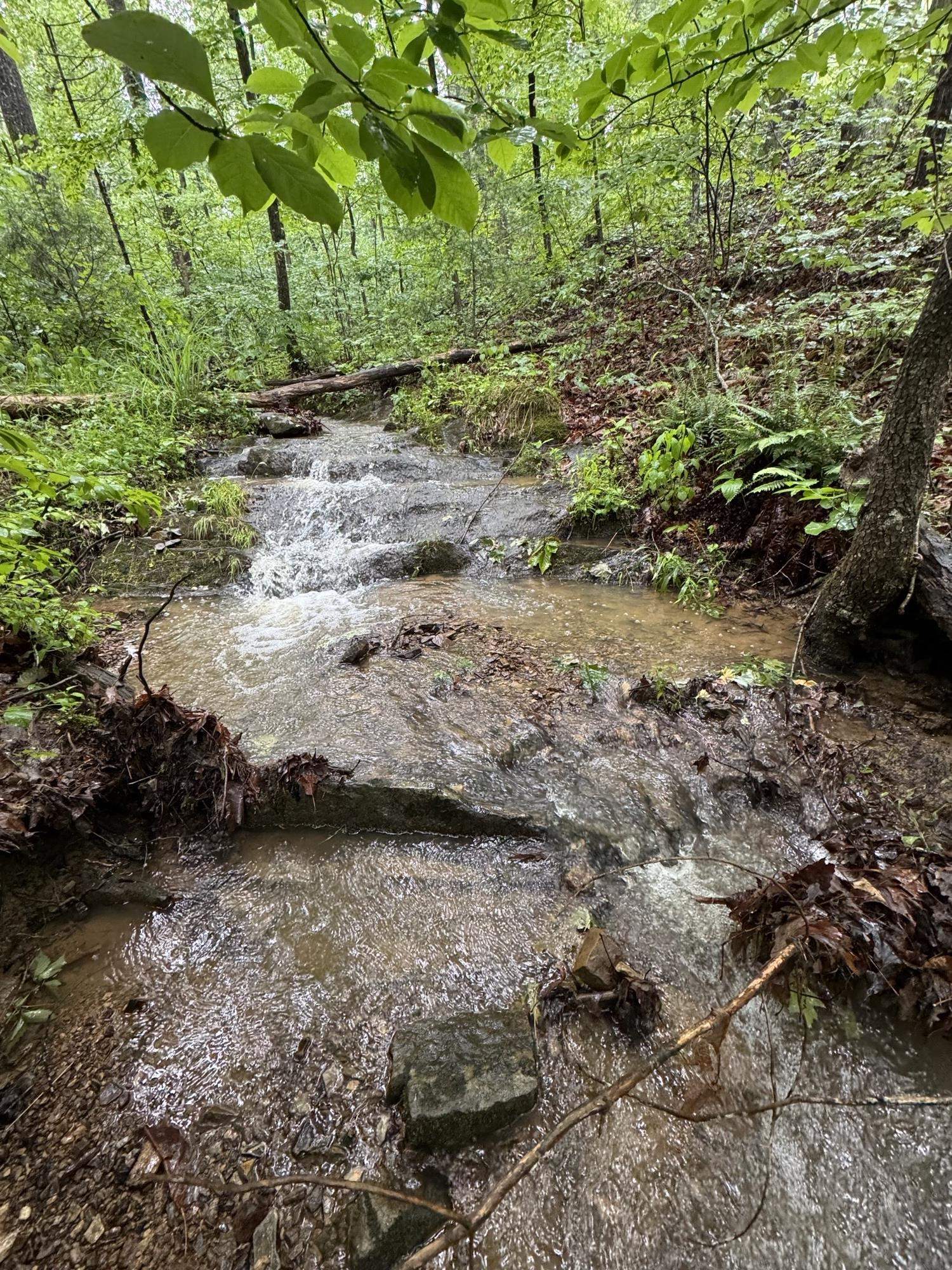 TBD STRIBLING SPRINGS RD, MOUNT SOLON, Virginia 22843, ,Land,TBD STRIBLING SPRINGS RD,666793 MLS # 666793