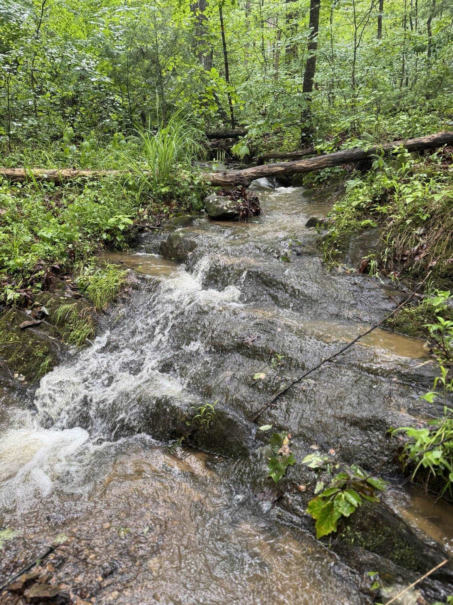 TBD STRIBLING SPRINGS RD, MOUNT SOLON, Virginia 22843, ,Land,TBD STRIBLING SPRINGS RD,666793 MLS # 666793