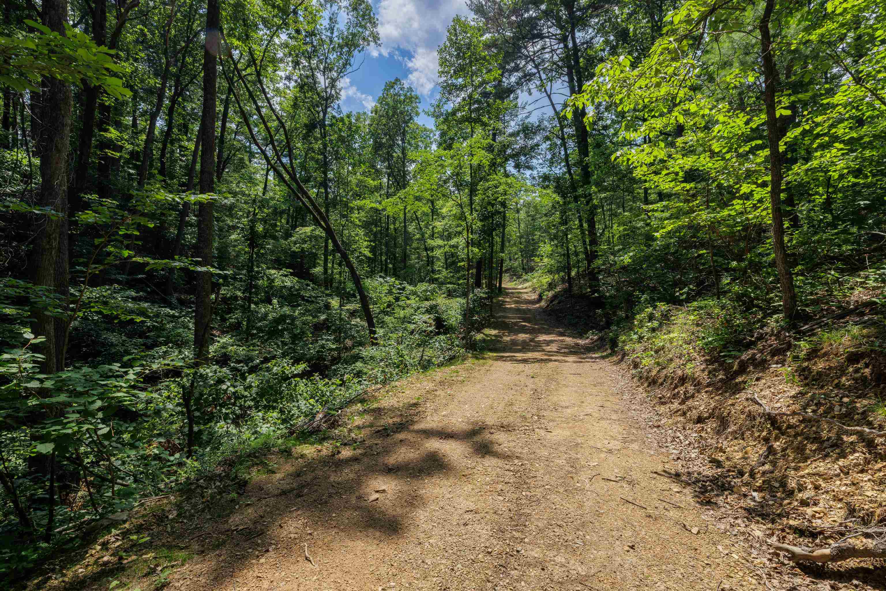 TBD STRIBLING SPRINGS RD, MOUNT SOLON, Virginia 22843, ,Land,TBD STRIBLING SPRINGS RD,666793 MLS # 666793