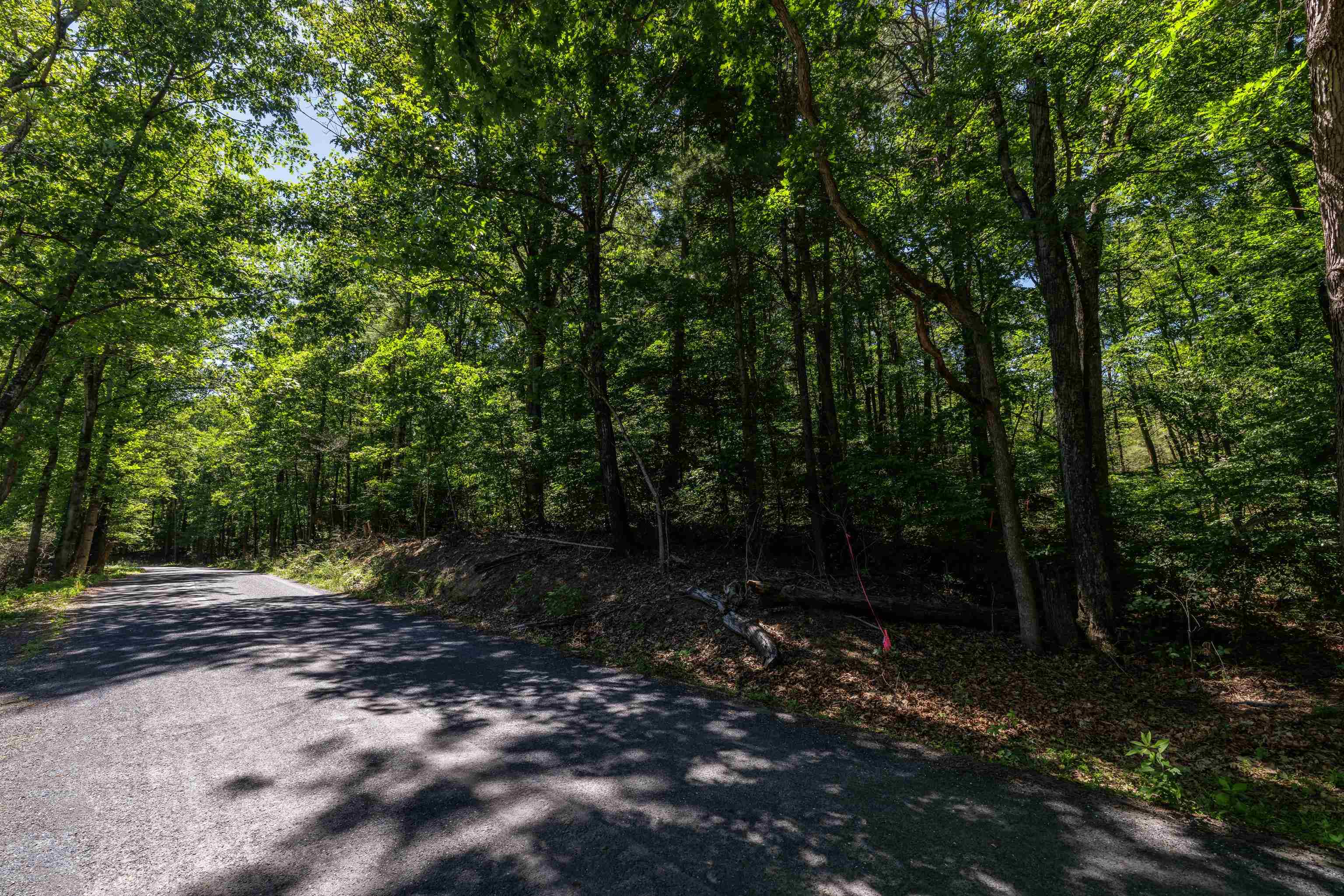 TBD STRIBLING SPRINGS RD, MOUNT SOLON, Virginia 22843, ,Land,TBD STRIBLING SPRINGS RD,666793 MLS # 666793