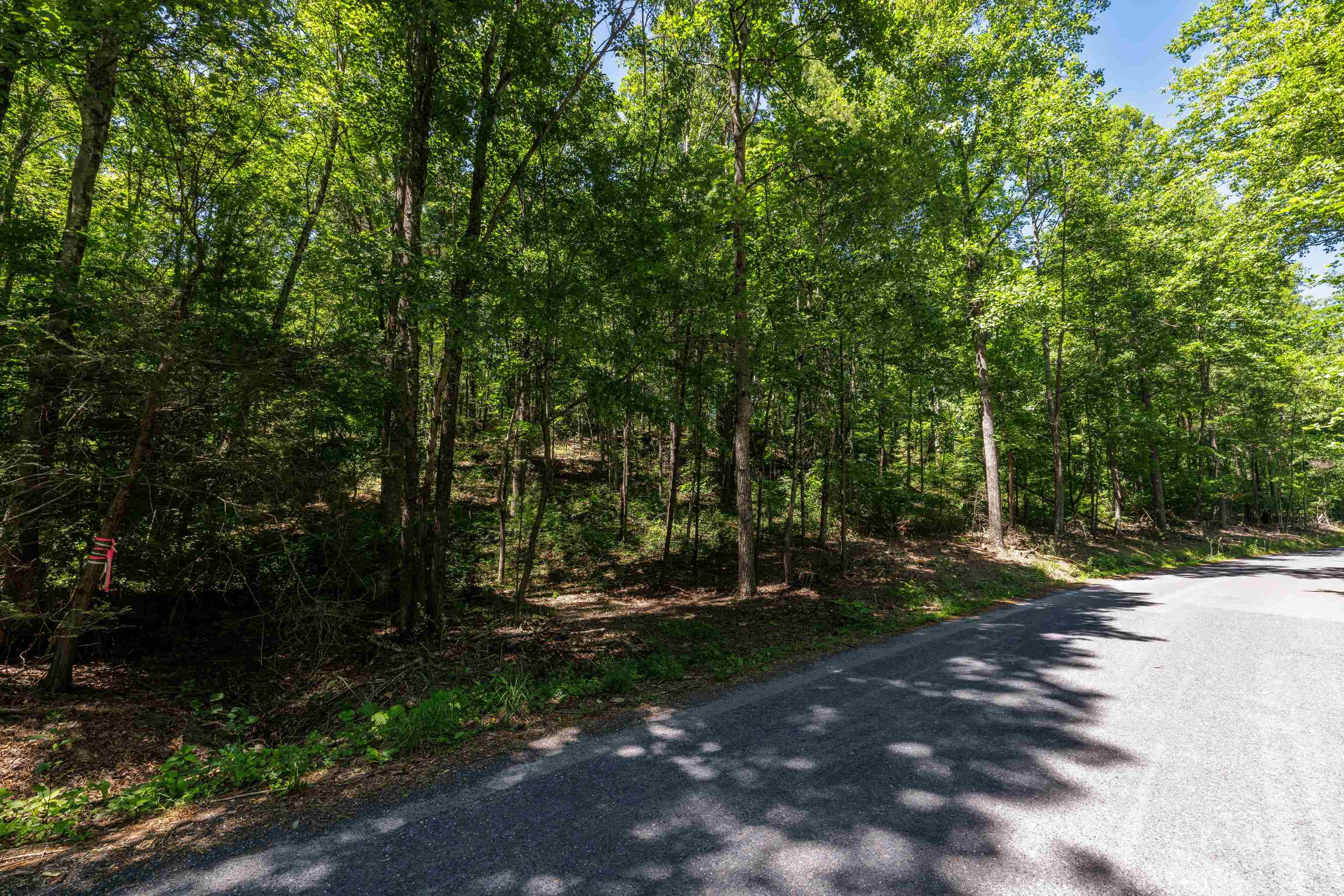 TBD STRIBLING SPRINGS RD, MOUNT SOLON, Virginia 22843, ,Land,TBD STRIBLING SPRINGS RD,666793 MLS # 666793