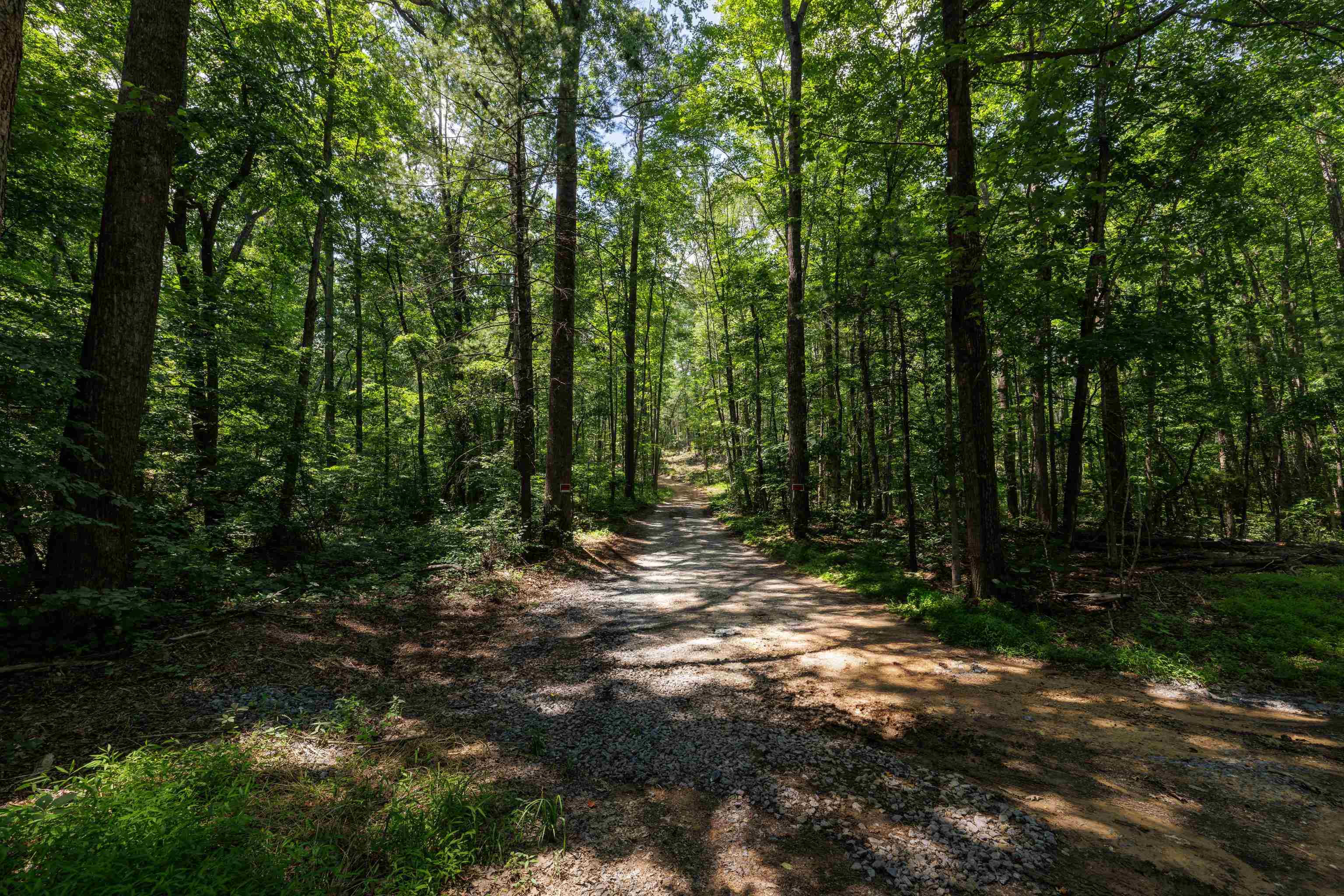 TBD STRIBLING SPRINGS RD, MOUNT SOLON, Virginia 22843, ,Land,TBD STRIBLING SPRINGS RD,666793 MLS # 666793