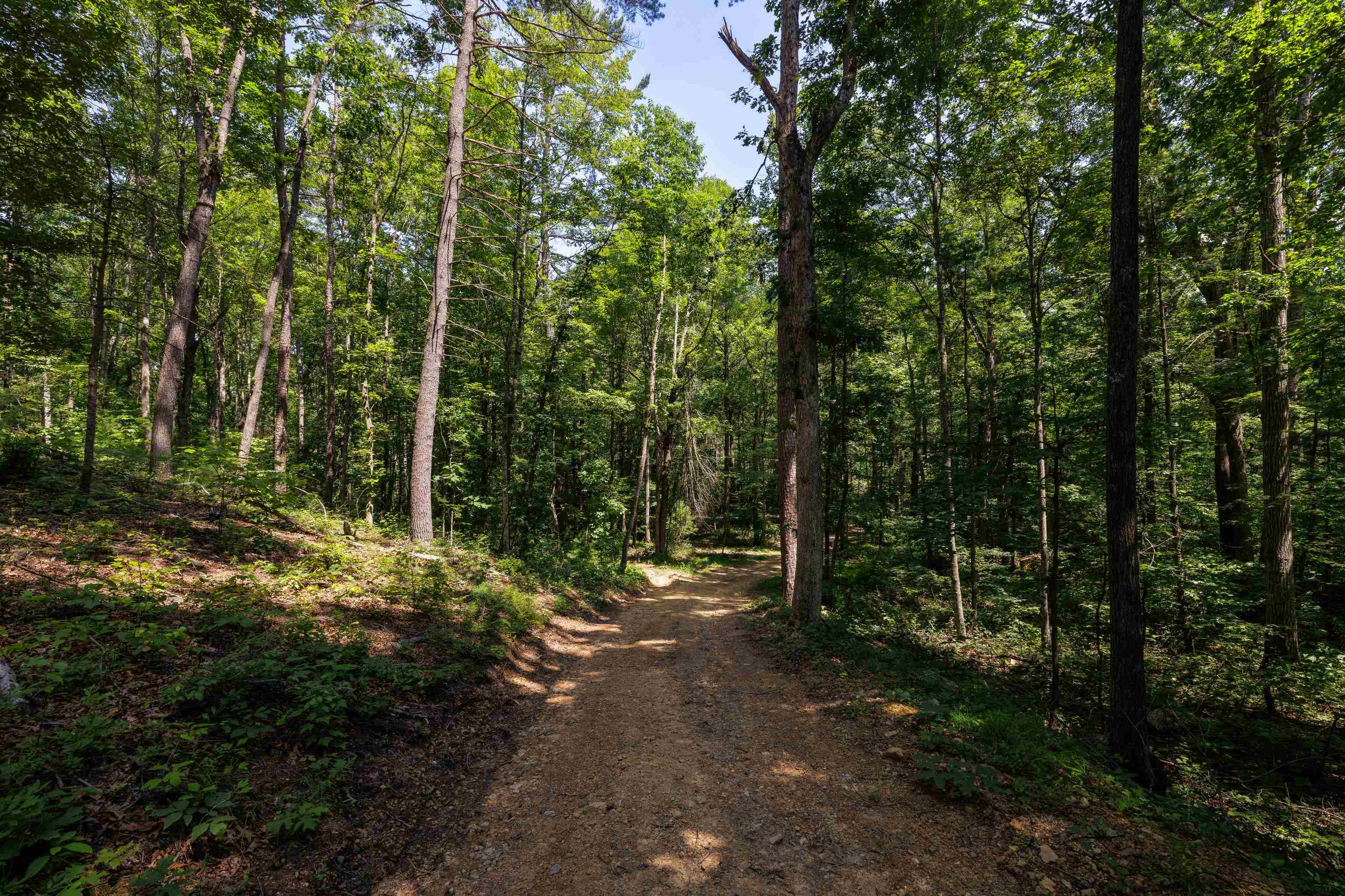 TBD STRIBLING SPRINGS RD, MOUNT SOLON, Virginia 22843, ,Land,TBD STRIBLING SPRINGS RD,666793 MLS # 666793