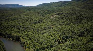 TBD STRIBLING SPRINGS RD, MOUNT SOLON, Virginia 22843, ,Land,TBD STRIBLING SPRINGS RD,666793 MLS # 666793