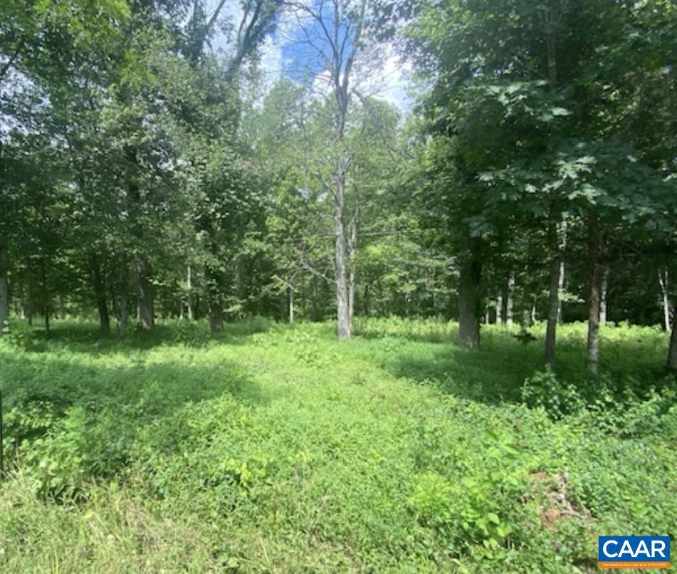 OLD LYNCHBURG RD, NORTH GARDEN, Virginia 22959, ,Land,For sale,OLD LYNCHBURG RD,666788 MLS # 666788