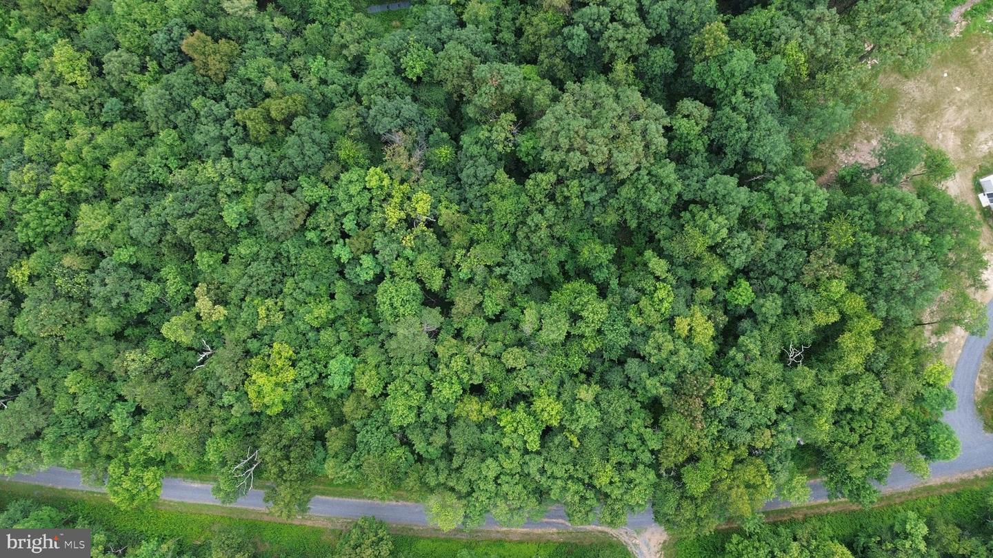 LOTS 182, 183, 184 ROCKWOOD TRL, WINCHESTER, Virginia 22602, ,Land,For sale,LOTS 182, 183, 184 ROCKWOOD TRL,VAFV2035474 MLS # VAFV2035474