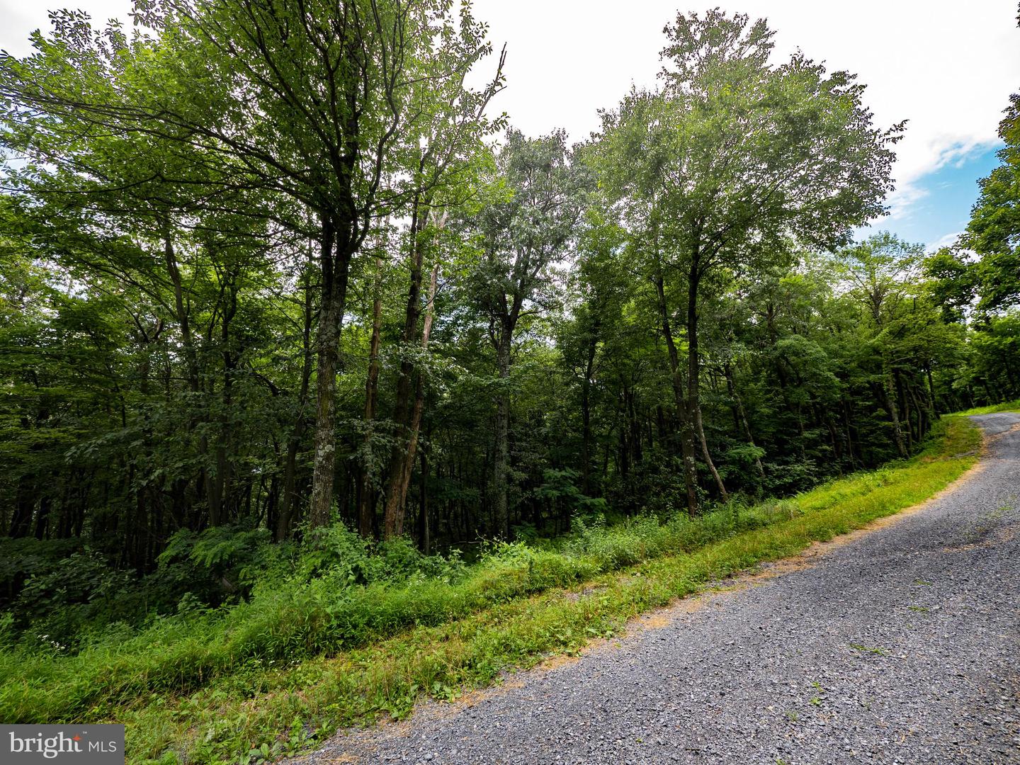 LOTS 182, 183, 184 ROCKWOOD TRL, WINCHESTER, Virginia 22602, ,Land,For sale,LOTS 182, 183, 184 ROCKWOOD TRL,VAFV2035474 MLS # VAFV2035474