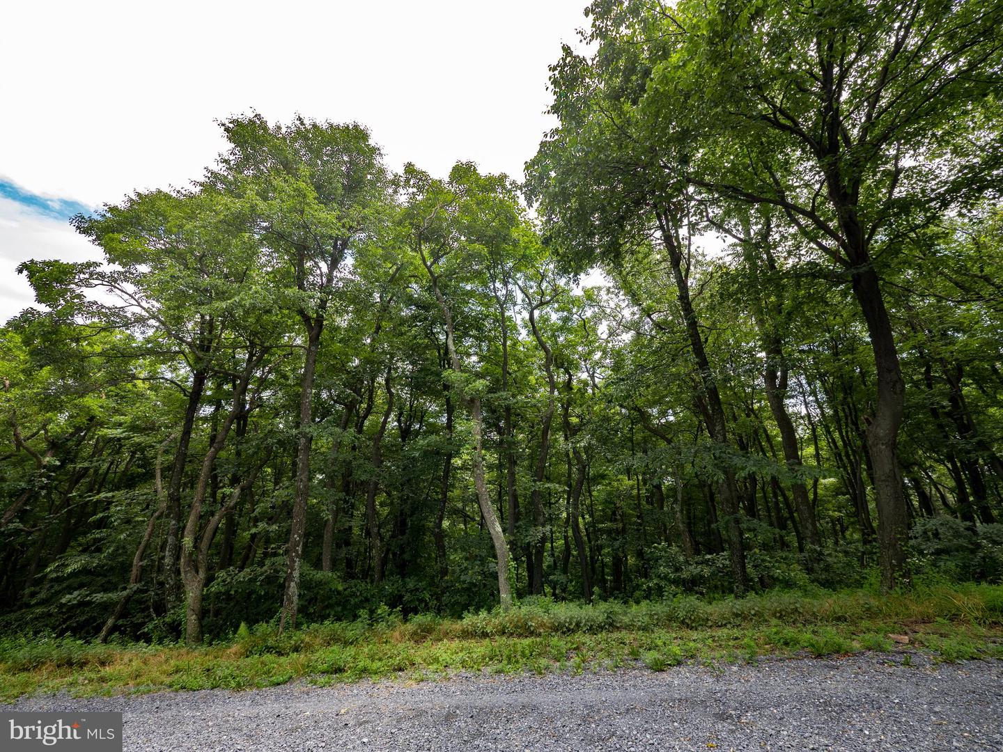 LOTS 182, 183, 184 ROCKWOOD TRL, WINCHESTER, Virginia 22602, ,Land,For sale,LOTS 182, 183, 184 ROCKWOOD TRL,VAFV2035474 MLS # VAFV2035474